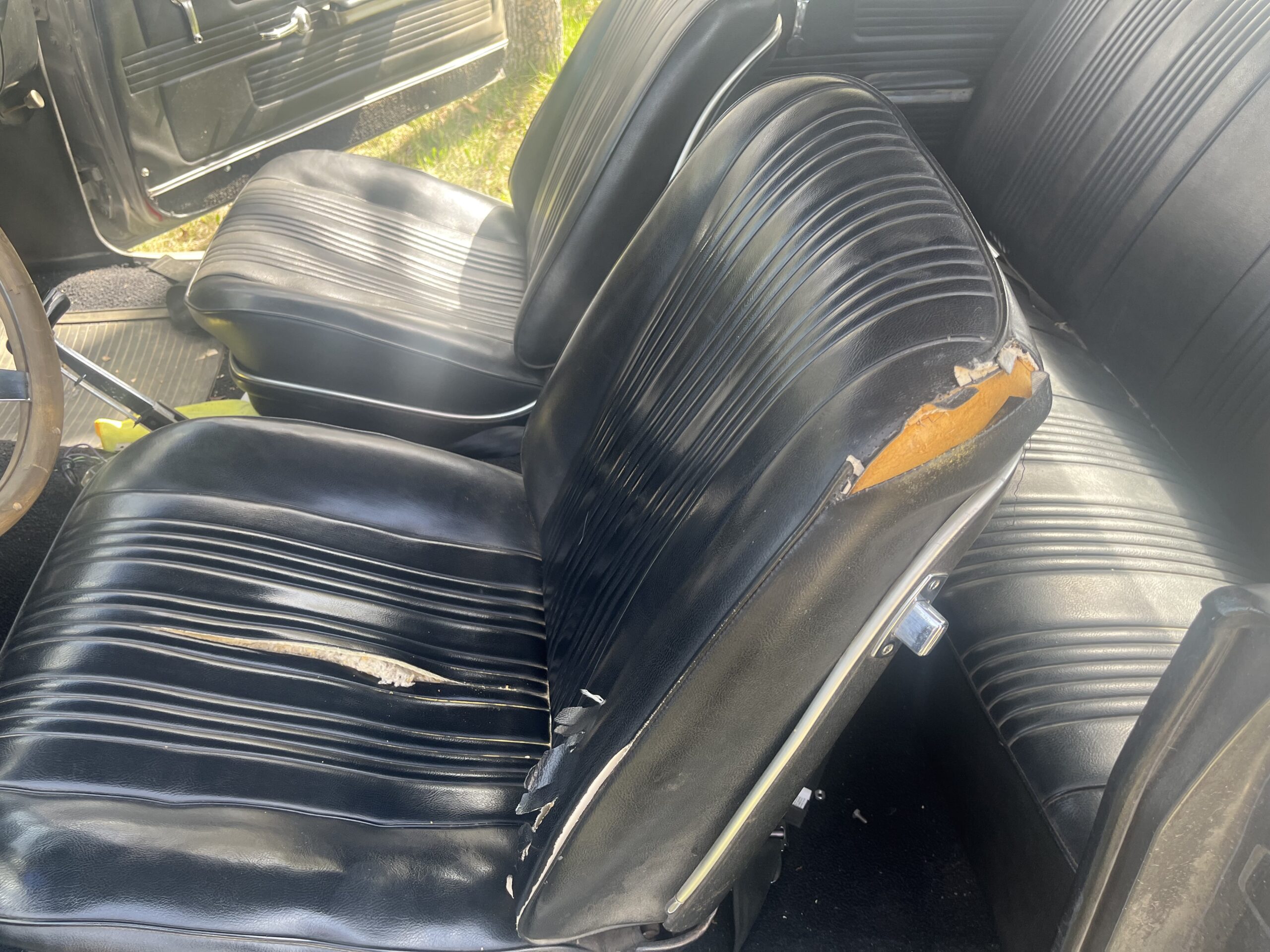 IMG_9586 Robin spruit 2024-05-14