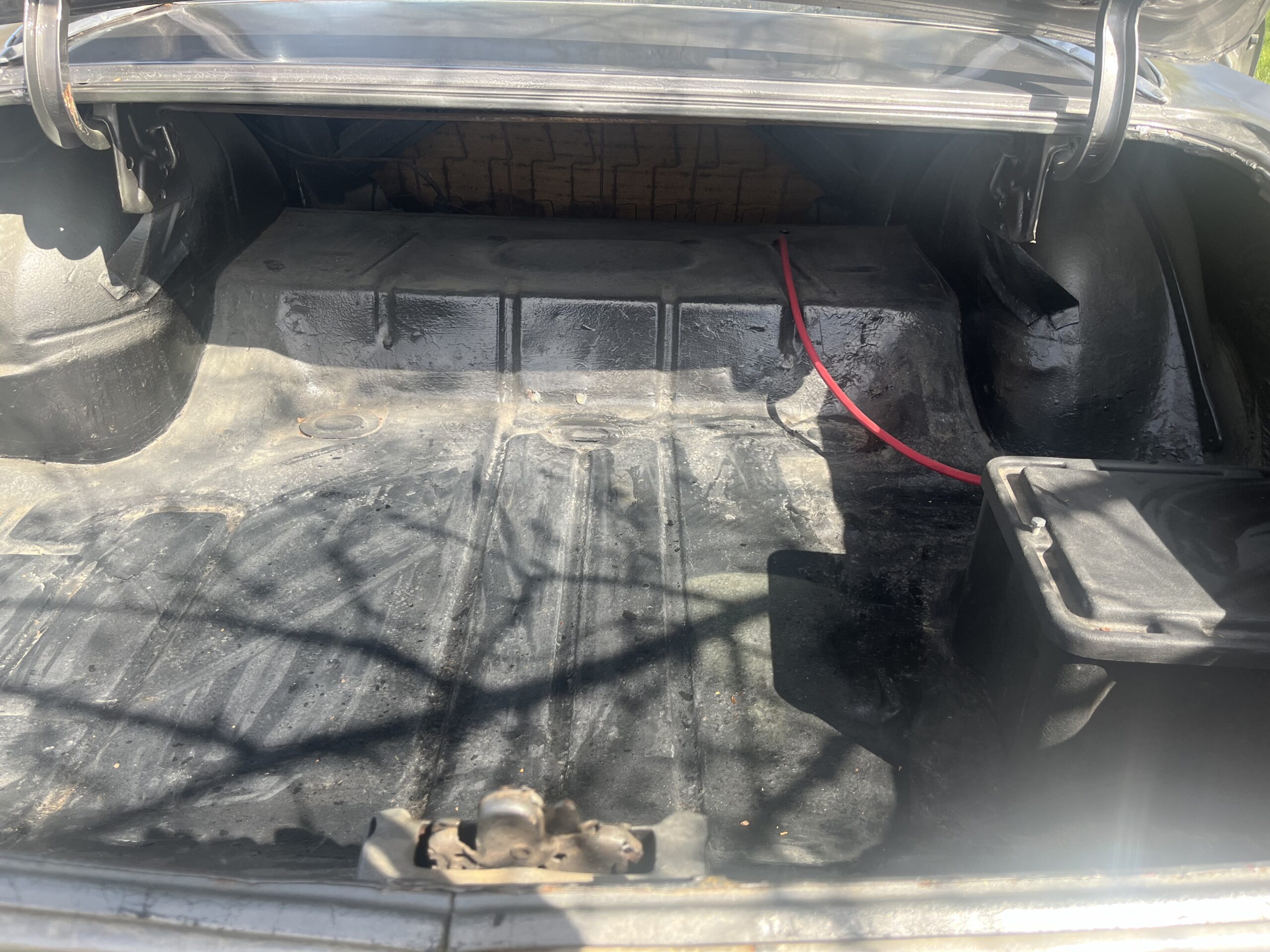 IMG_9587 Robin spruit 2024-05-14