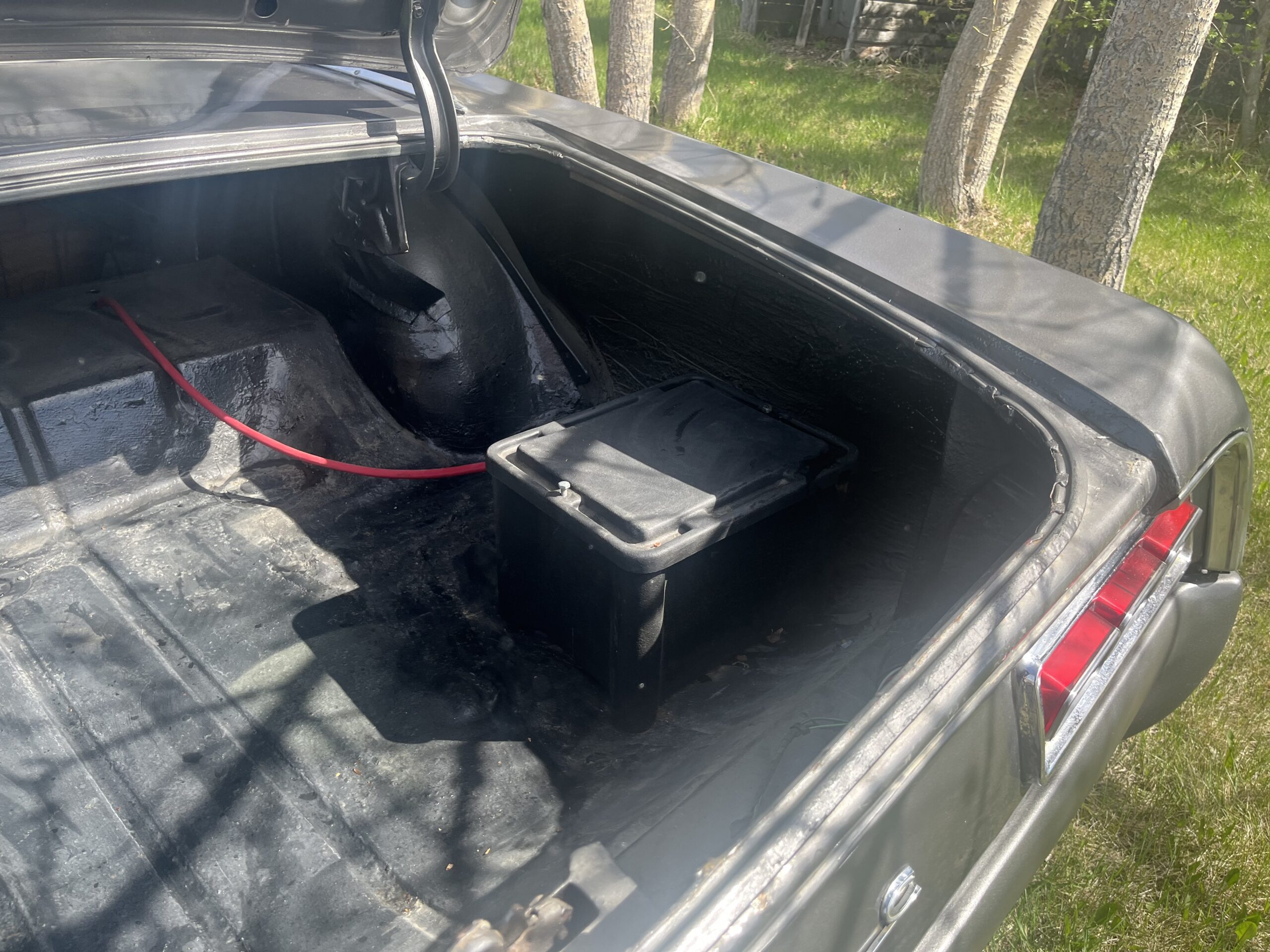 IMG_9588 Robin spruit 2024-05-14