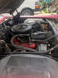 cadillac 14 Terrance Taylor 2024-05-15