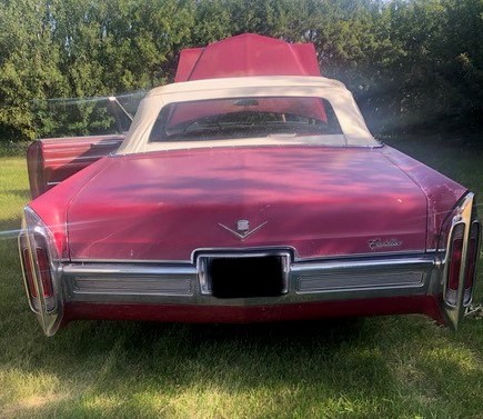 cadillac 4 Terrance Taylor 2024-05-15