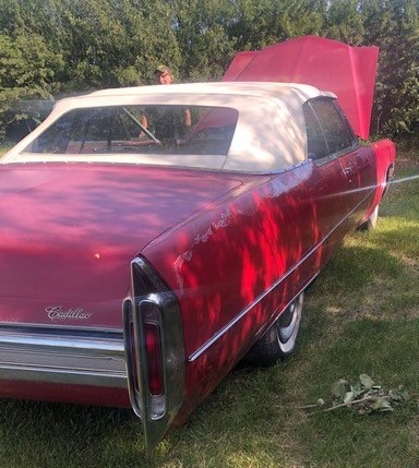 cadillac 6 Terrance Taylor 2024-05-15