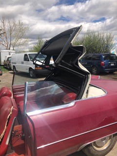 cadillac 9 Terrance Taylor 2024-05-15