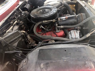 cadillac16 Terrance Taylor 2024-05-15