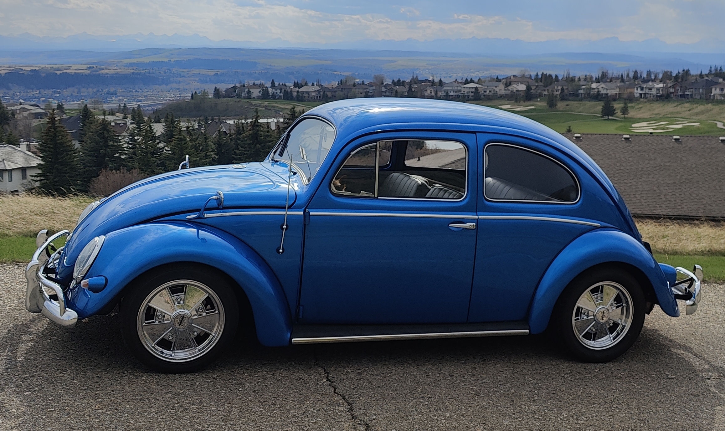 cover Lori Sibbald 2024-05-13