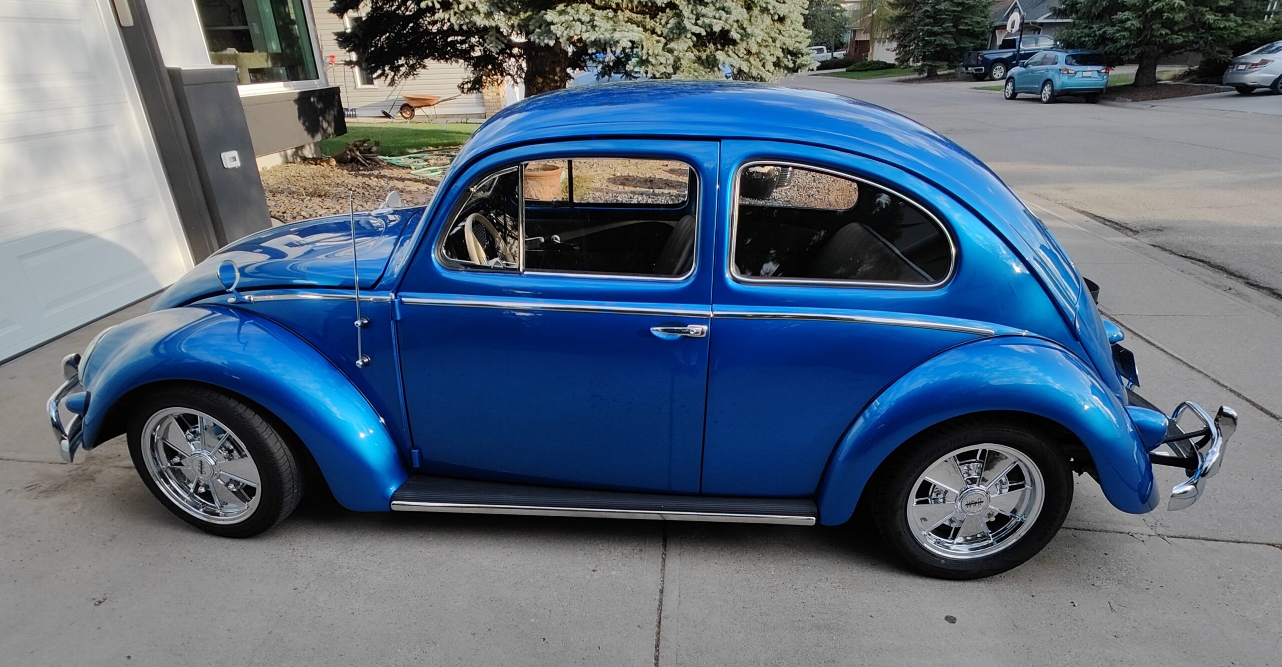 left side Lori Sibbald 2024-05-13