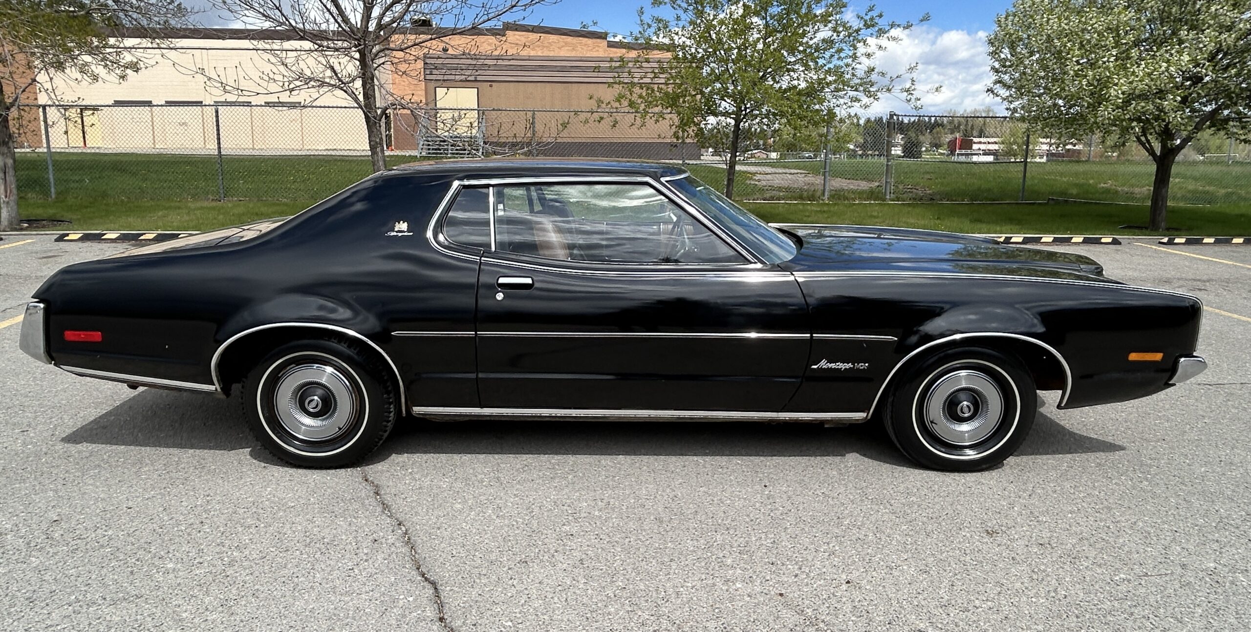 montego10 Robert Gunn 2024-05-19