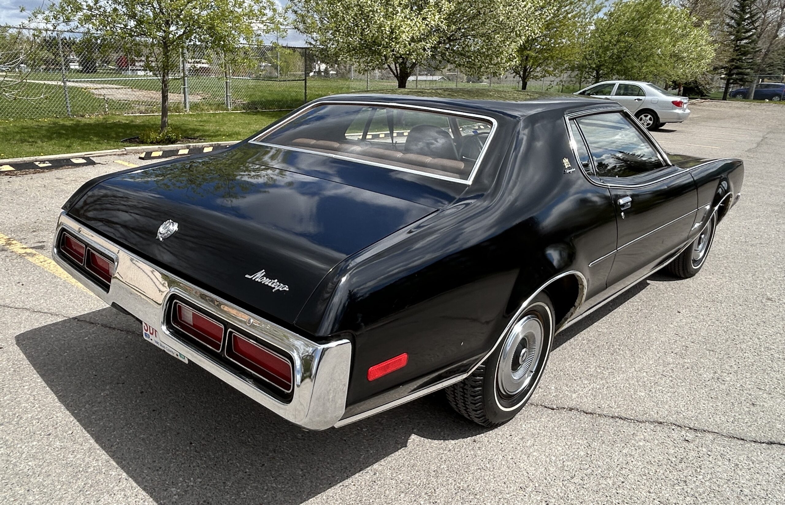 montego11 Robert Gunn 2024-05-19