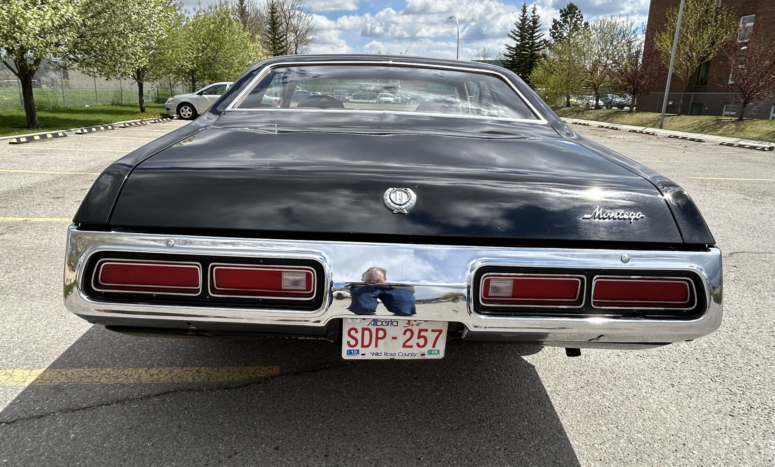 montego12 Robert Gunn 2024-05-19