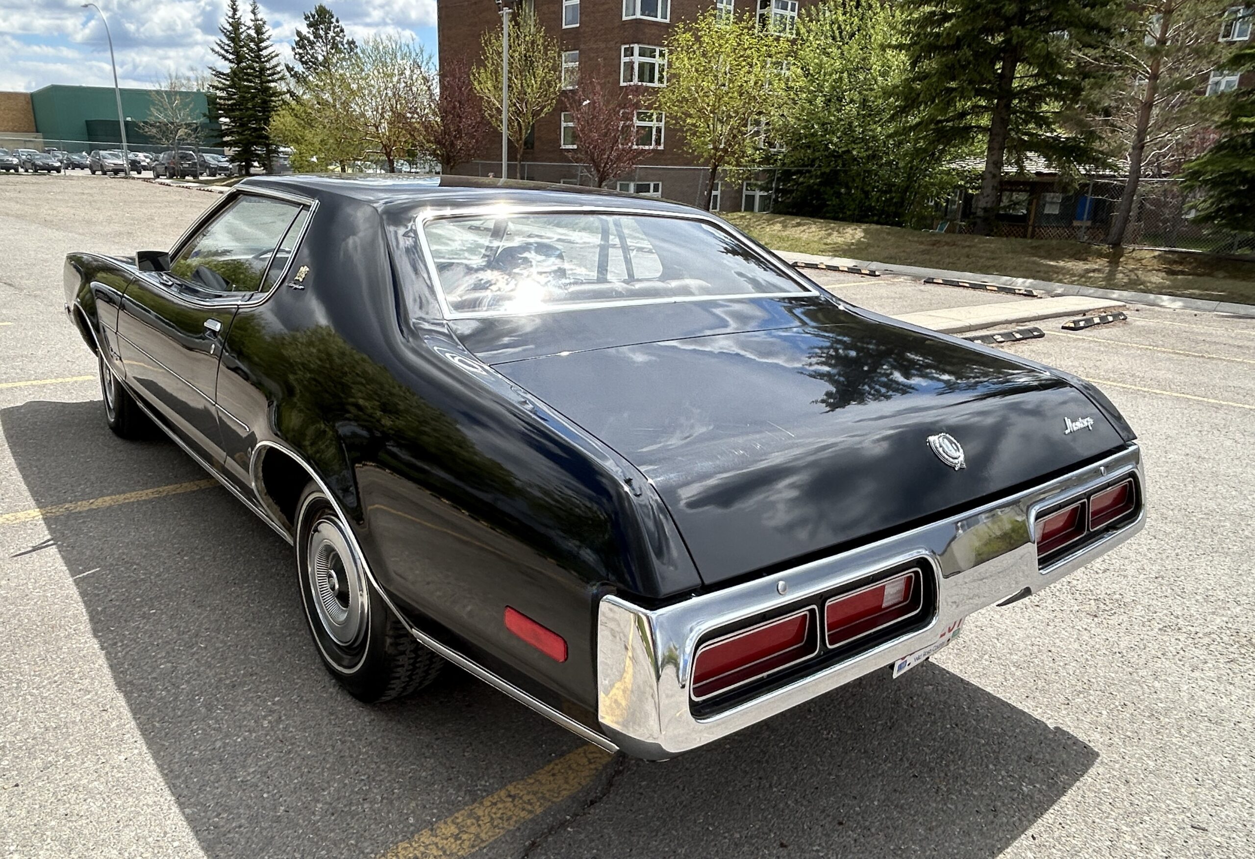 montego13 Robert Gunn 2024-05-19