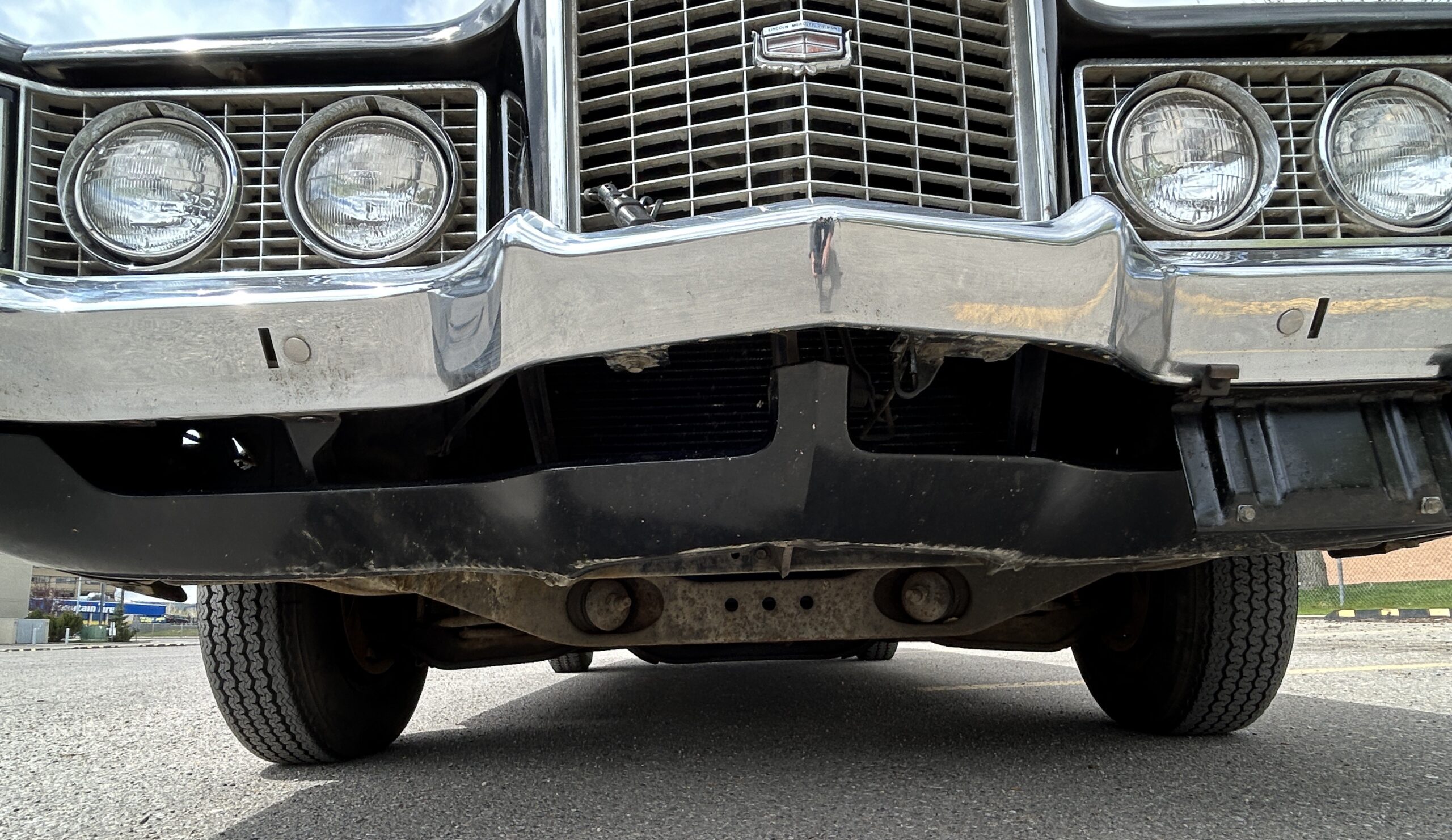 montego15 Robert Gunn 2024-05-19
