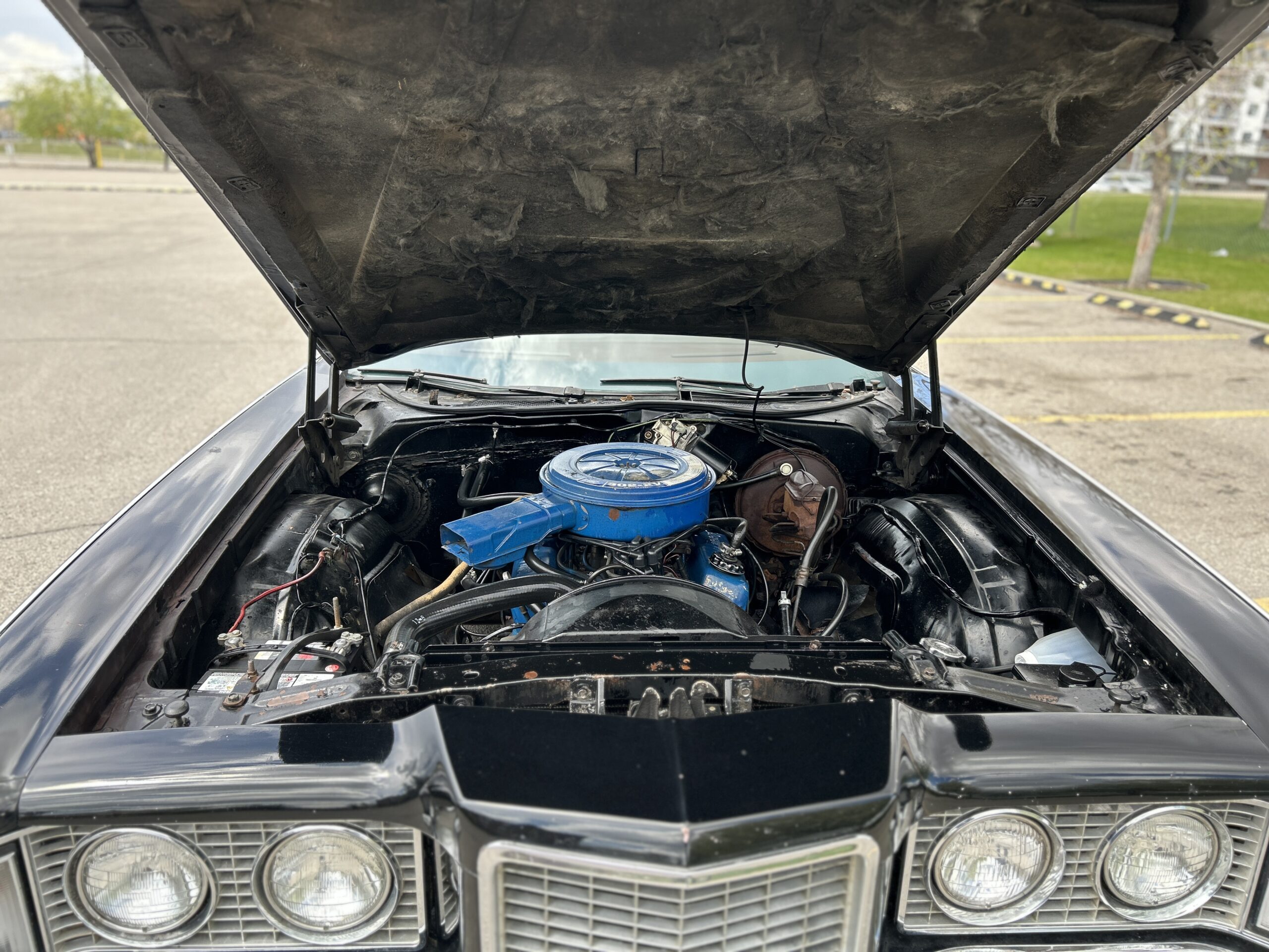 montego16 Robert Gunn 2024-05-19