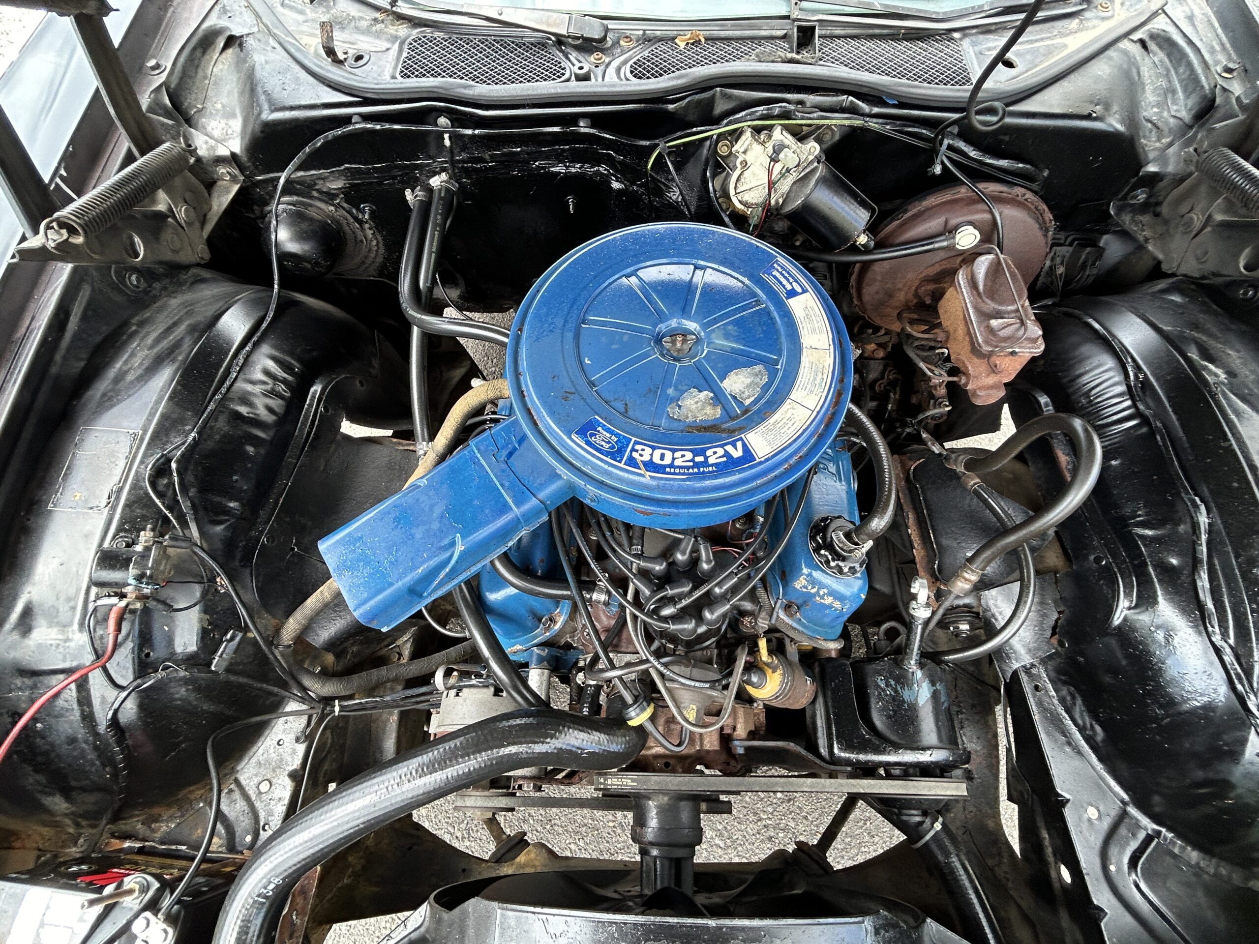 montego17 Robert Gunn 2024-05-19