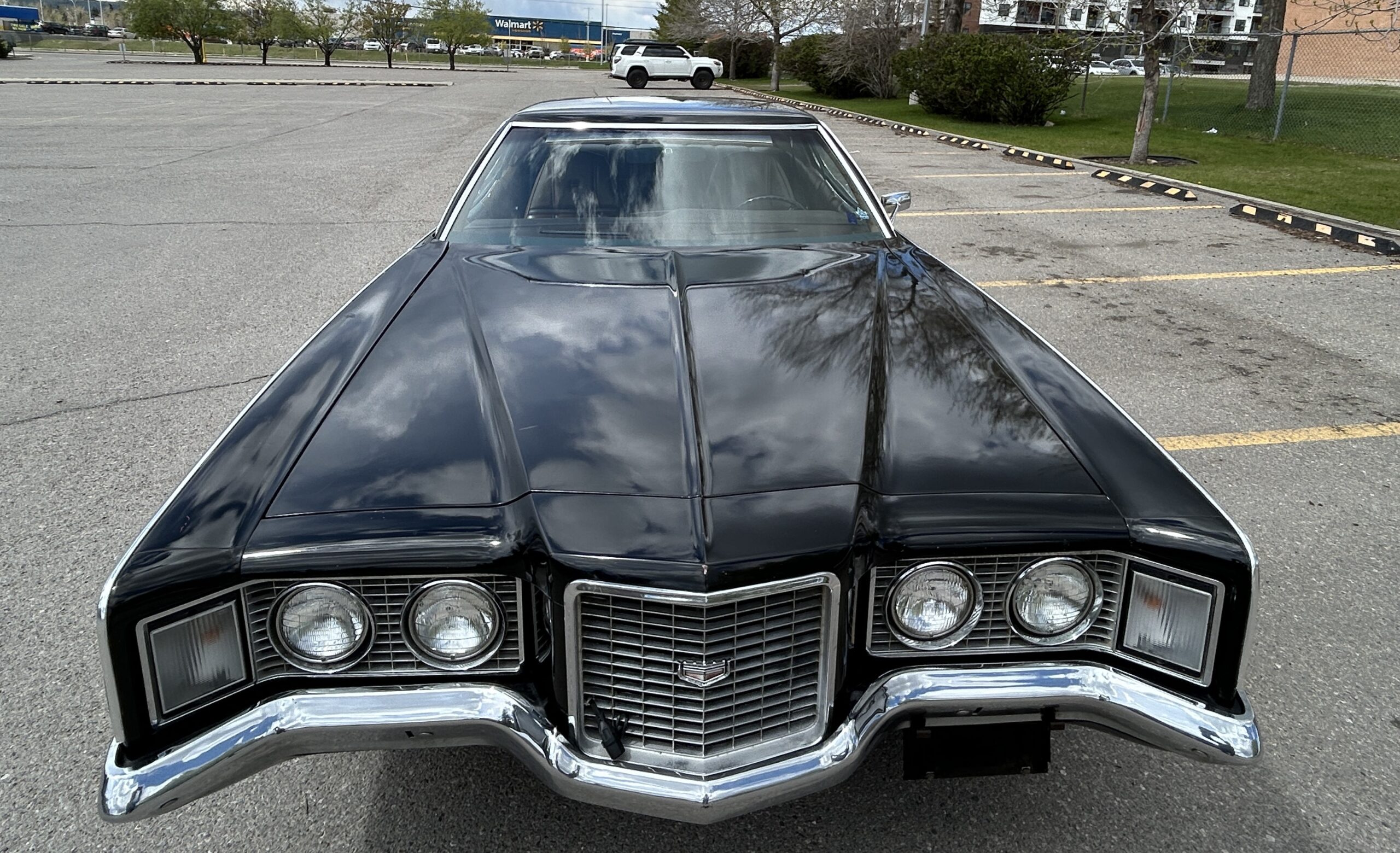 montego8 Robert Gunn 2024-05-19