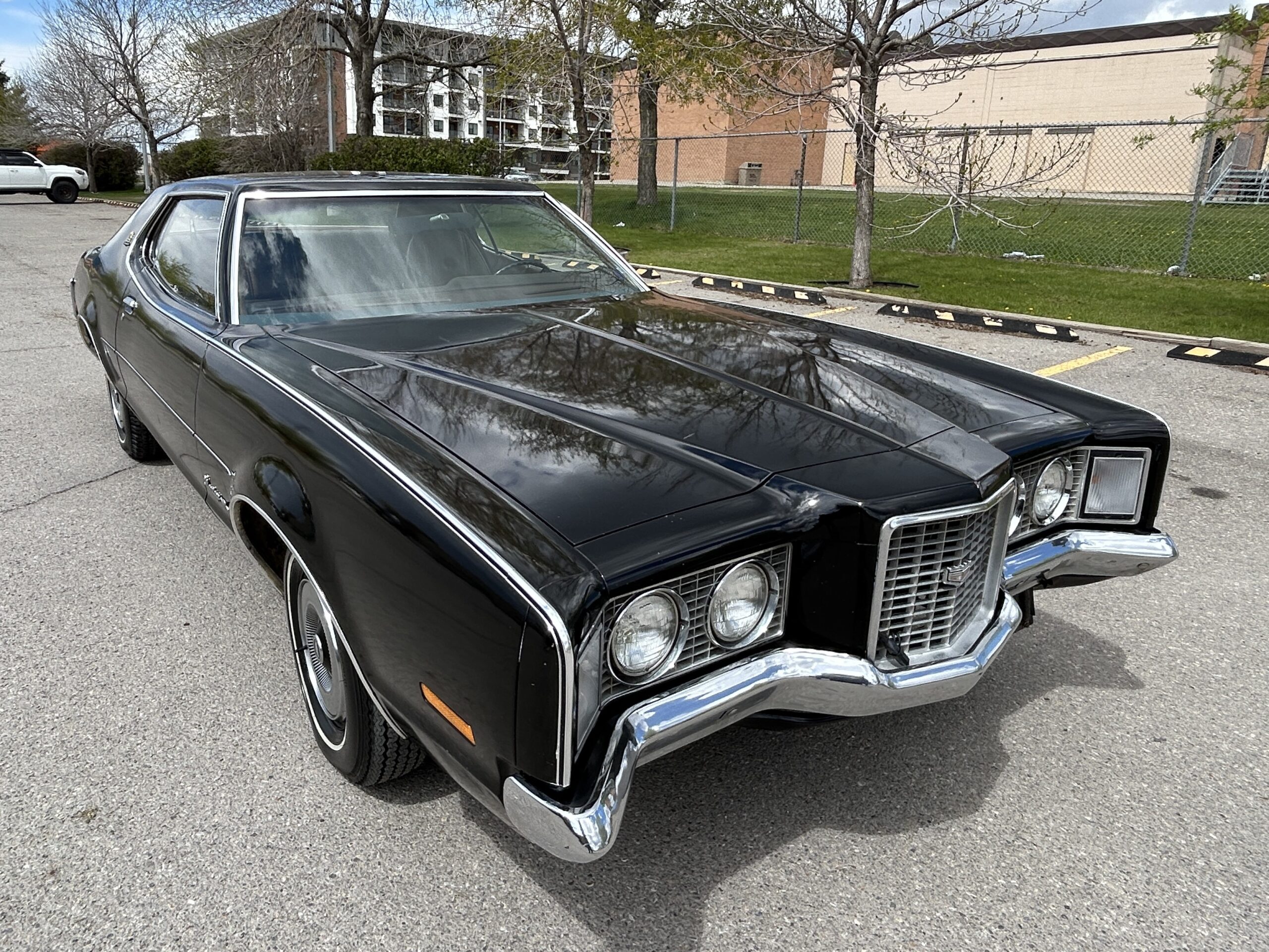 montego9 Robert Gunn 2024-05-19