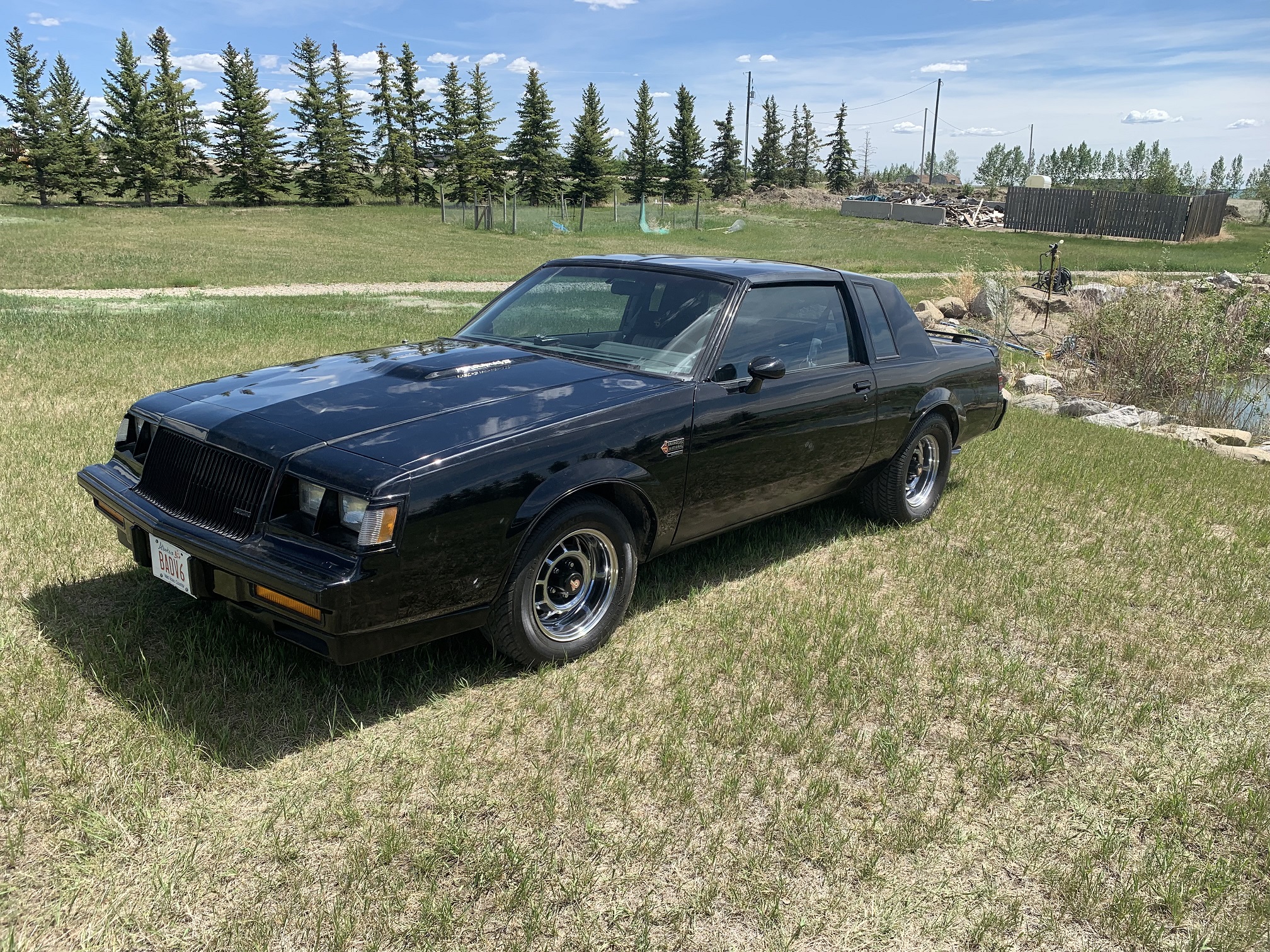 1987 Buick Grand National