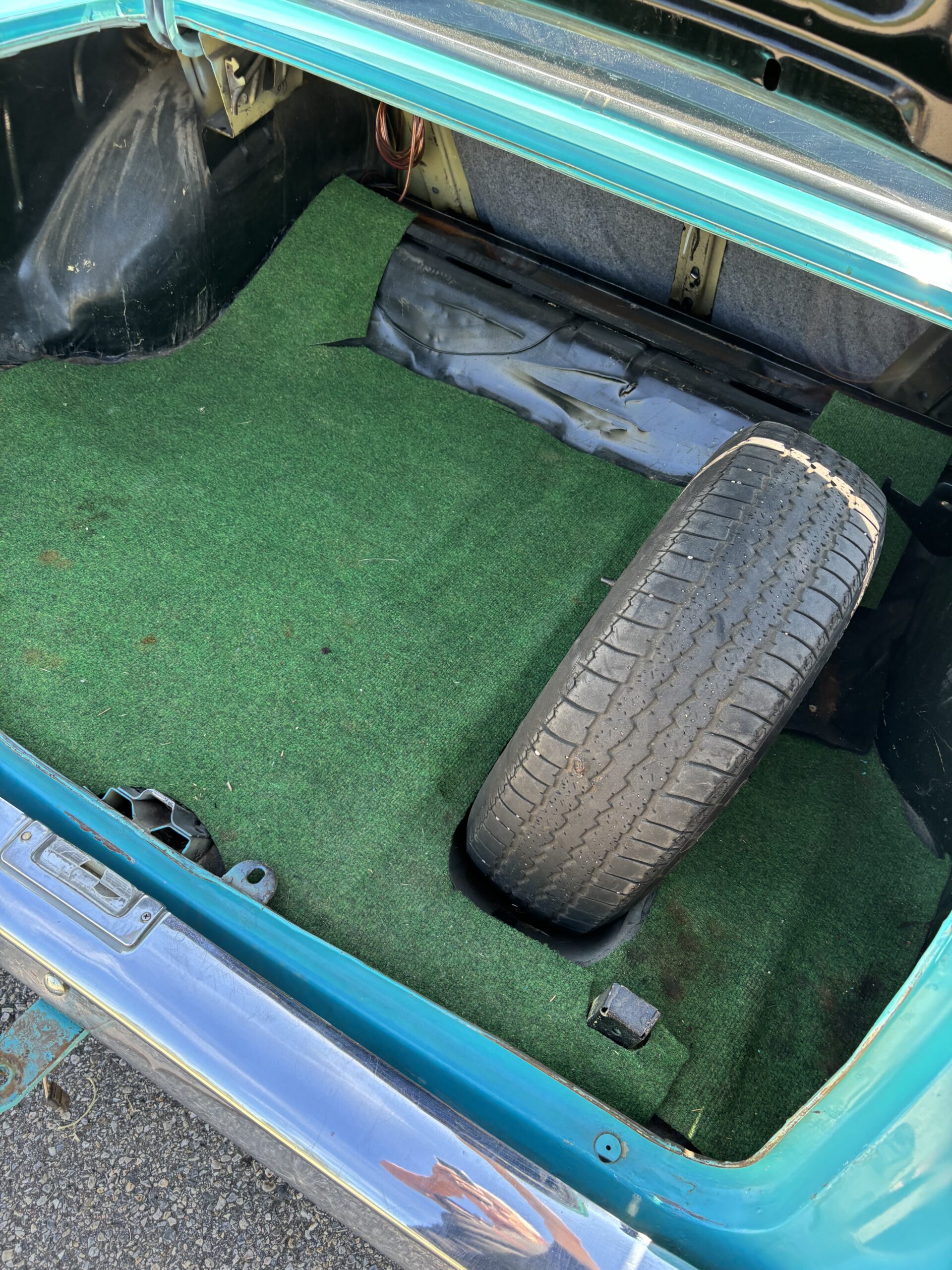 IMG_4105 Ken Dyer 2024-07-22