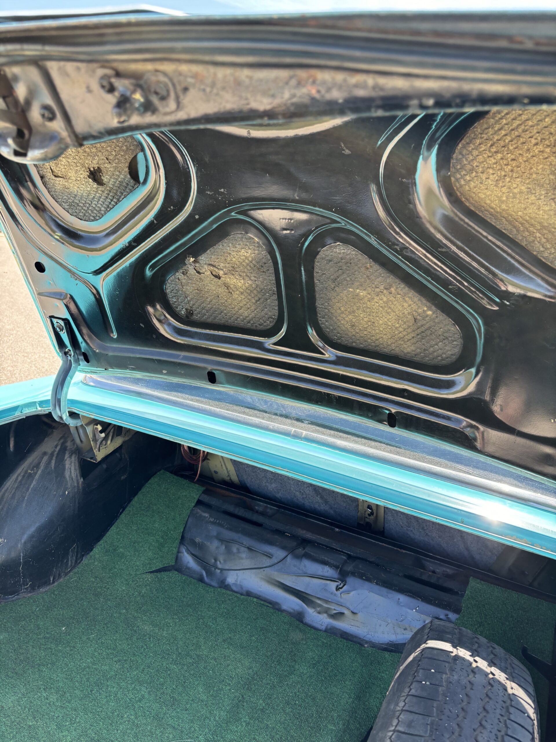 IMG_4106 Ken Dyer 2024-07-22