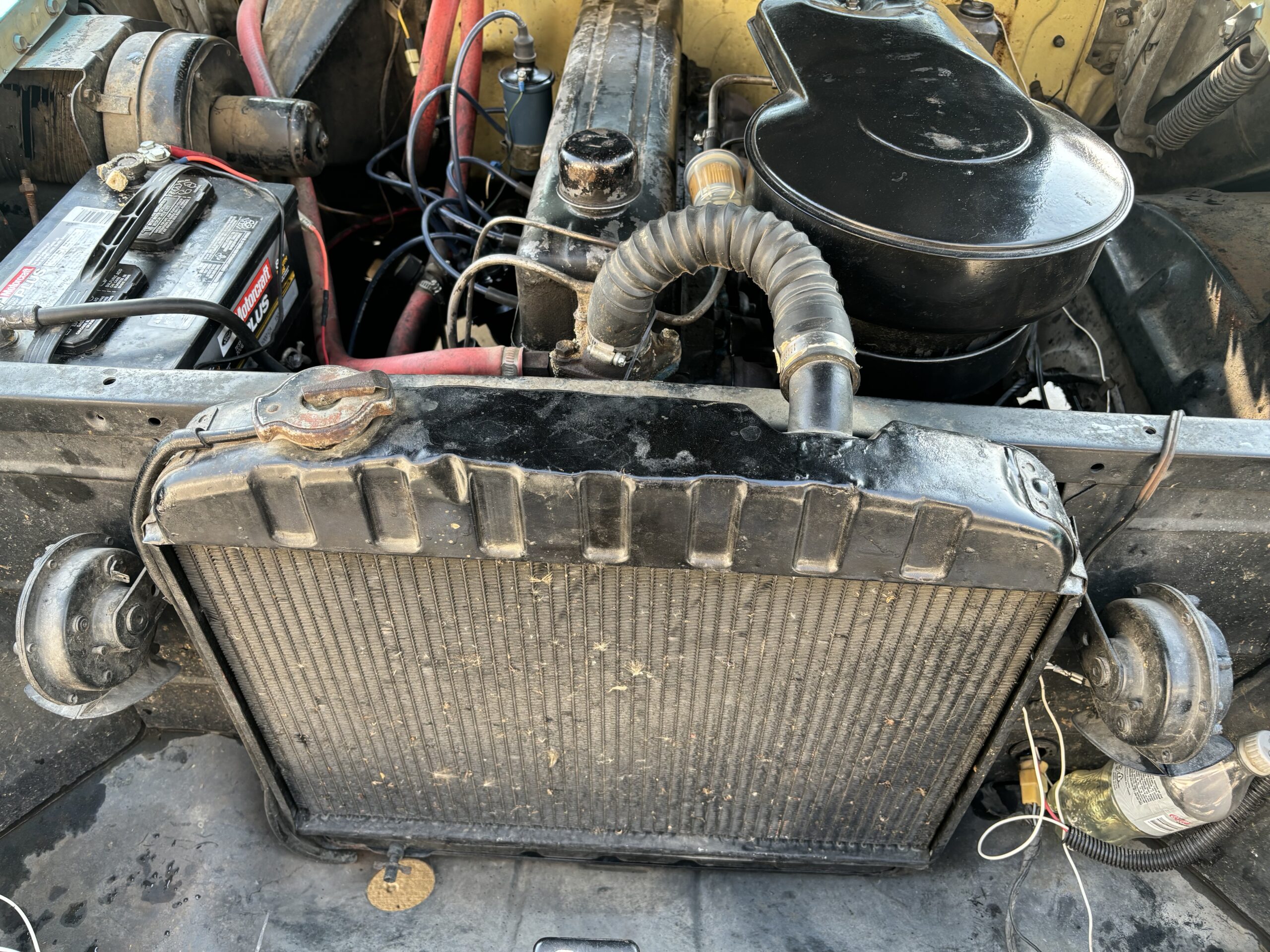 IMG_4125 Ken Dyer 2024-07-22