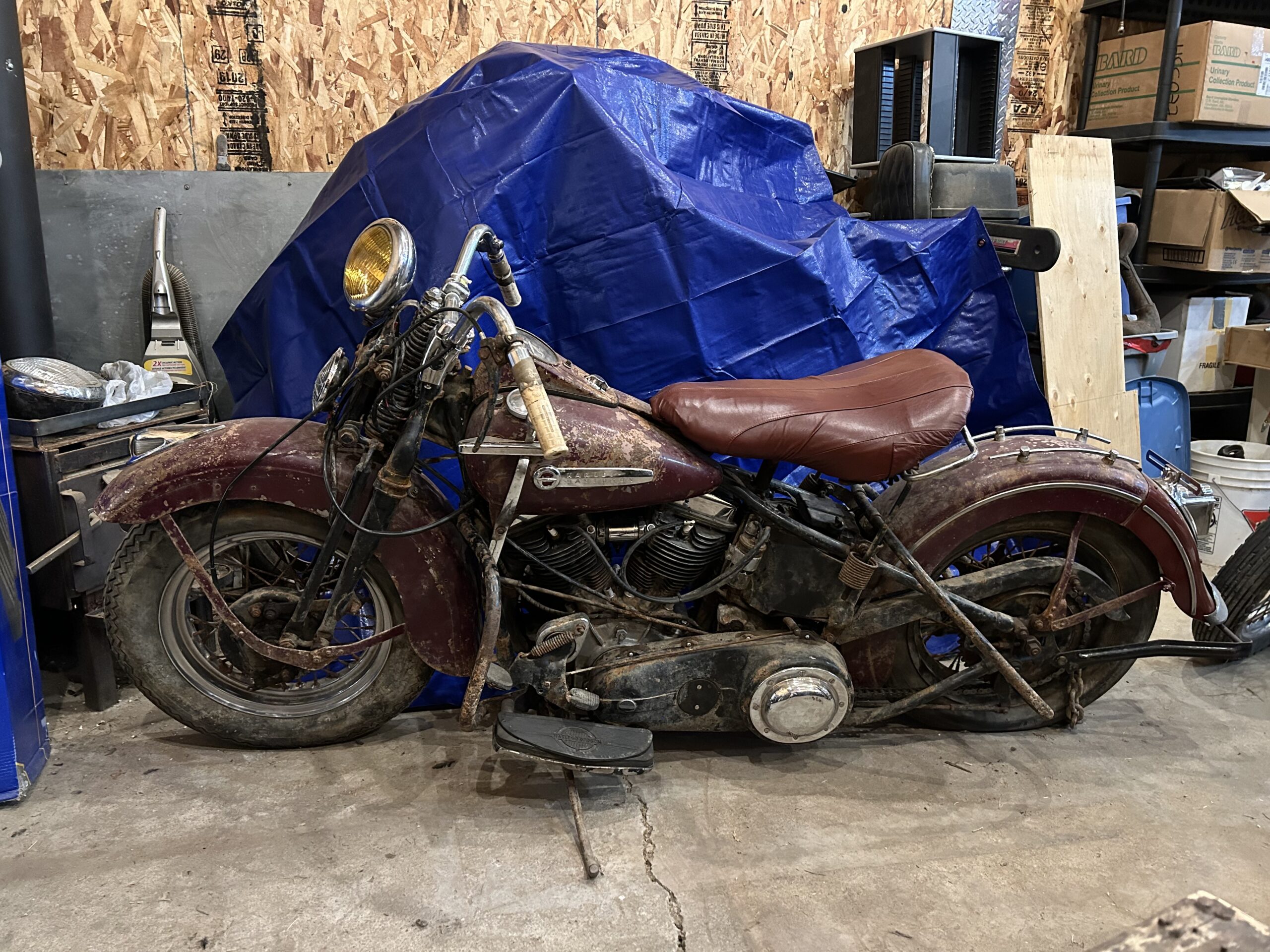 IMG_4700 Rita Livergood 2024-07-14