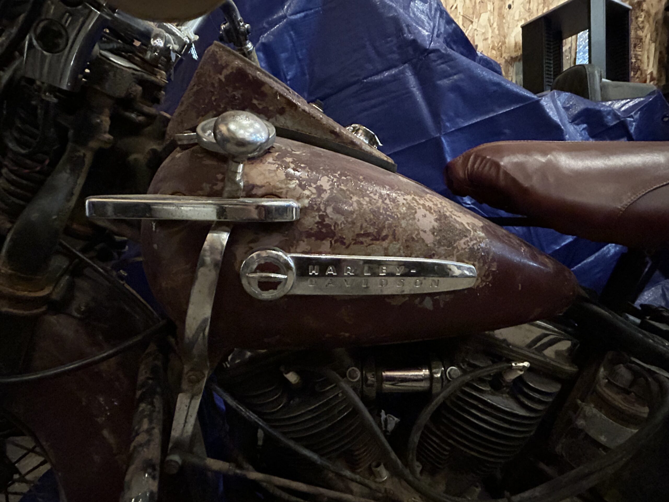 IMG_4702 Rita Livergood 2024-07-14