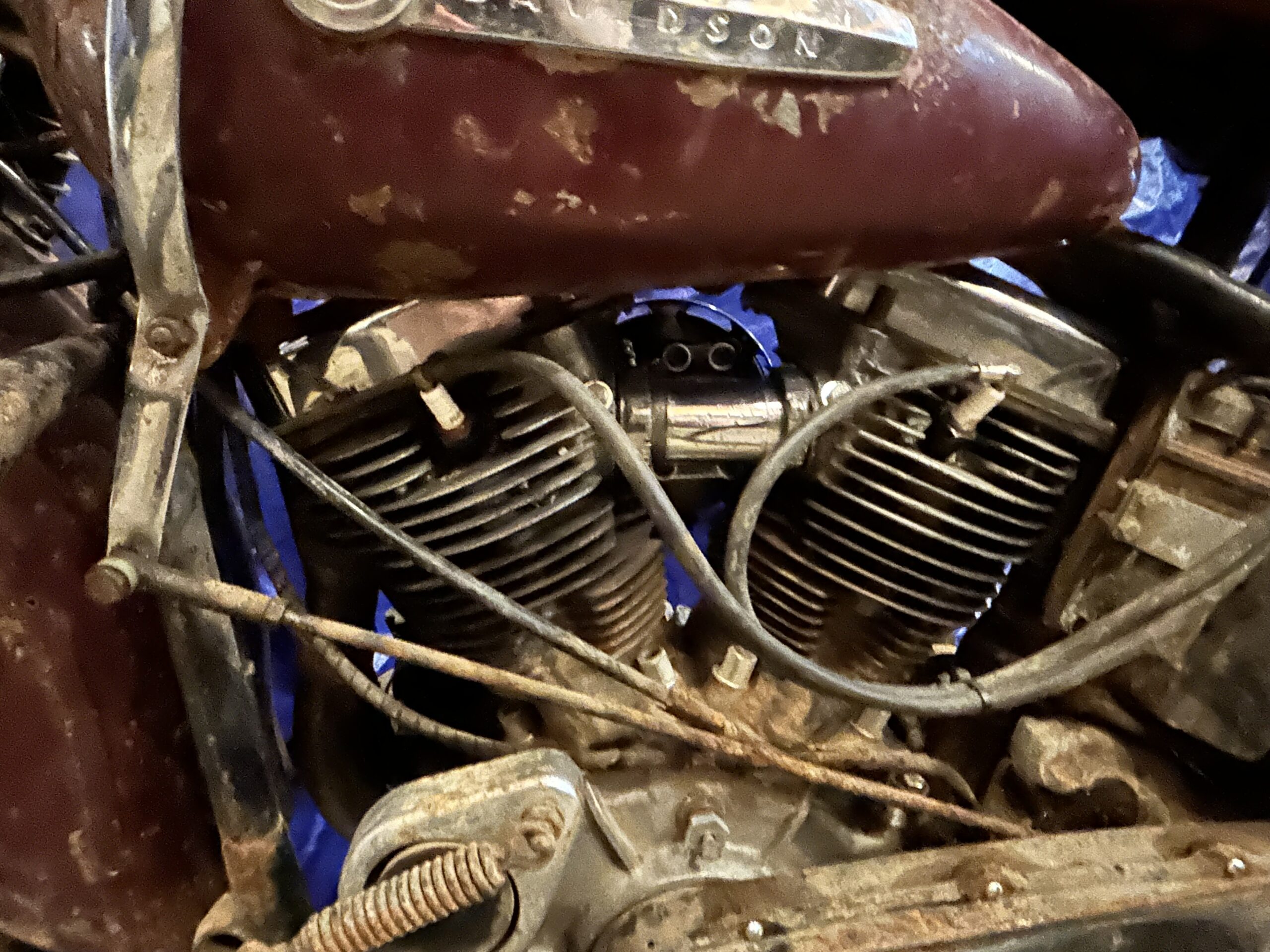 IMG_4703 Rita Livergood 2024-07-14