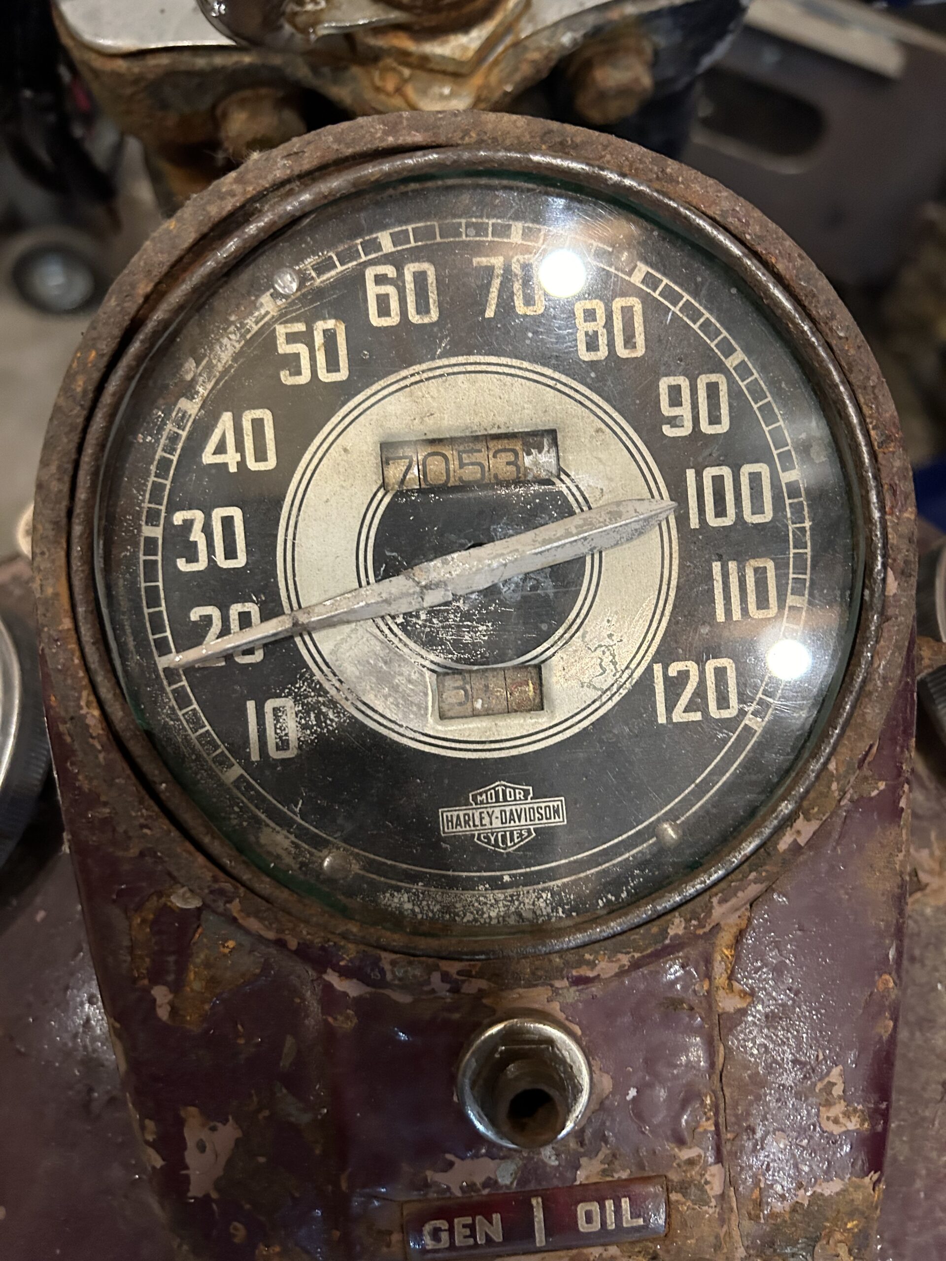 IMG_4705 Rita Livergood 2024-07-14