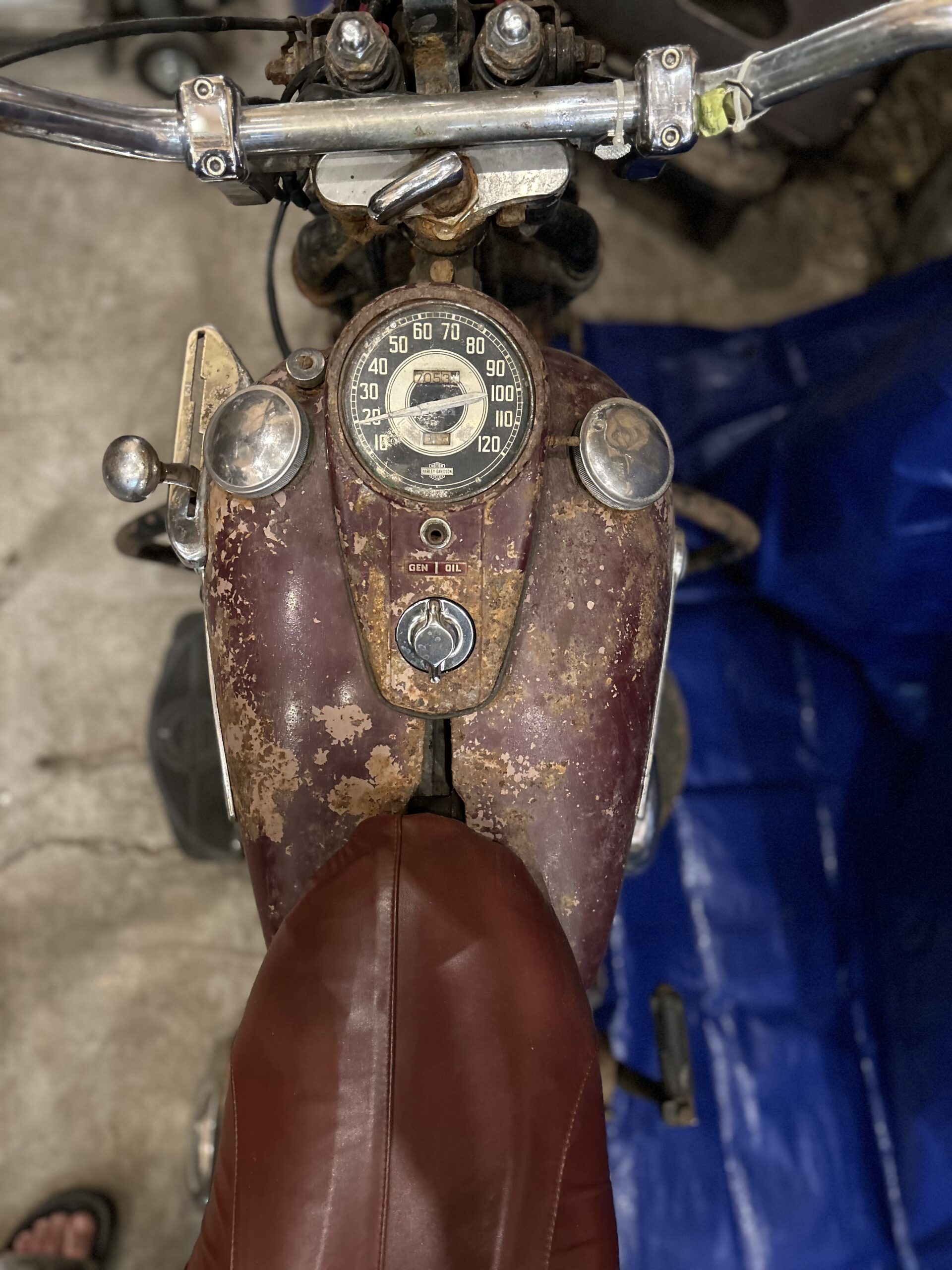 IMG_4716 Rita Livergood 2024-07-14