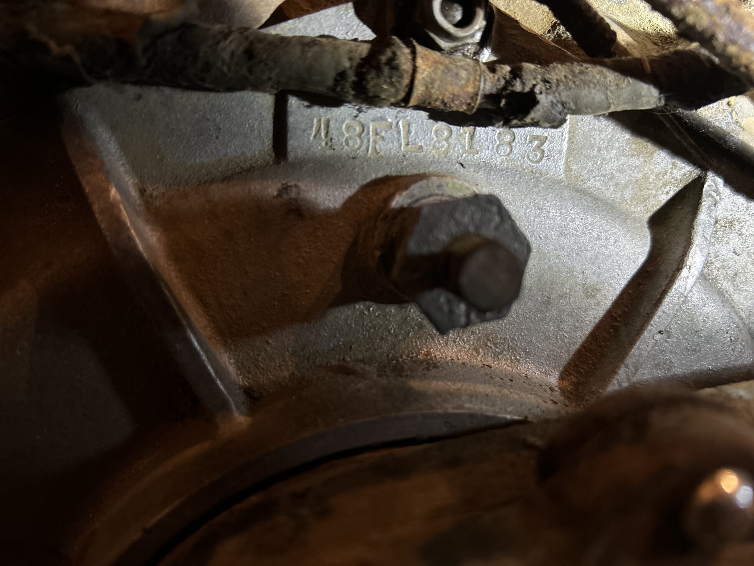 IMG_4721 Rita Livergood 2024-07-14