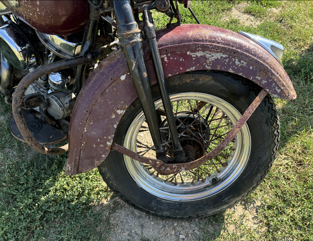 IMG_4836 Rita Livergood 2024-07-17