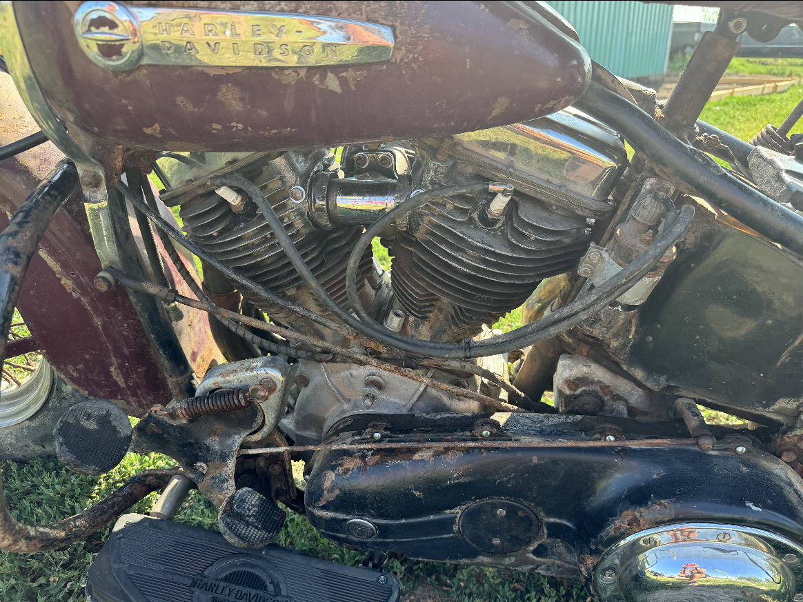 IMG_4838 Rita Livergood 2024-07-17