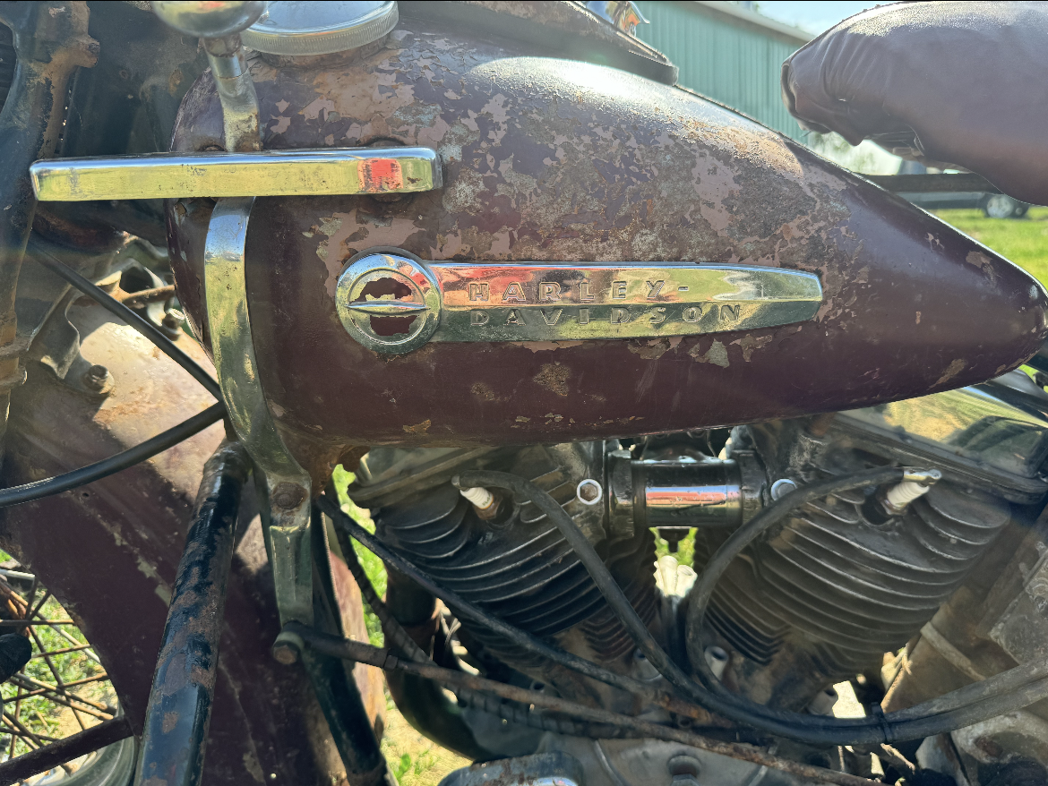 IMG_4840 Rita Livergood 2024-07-17