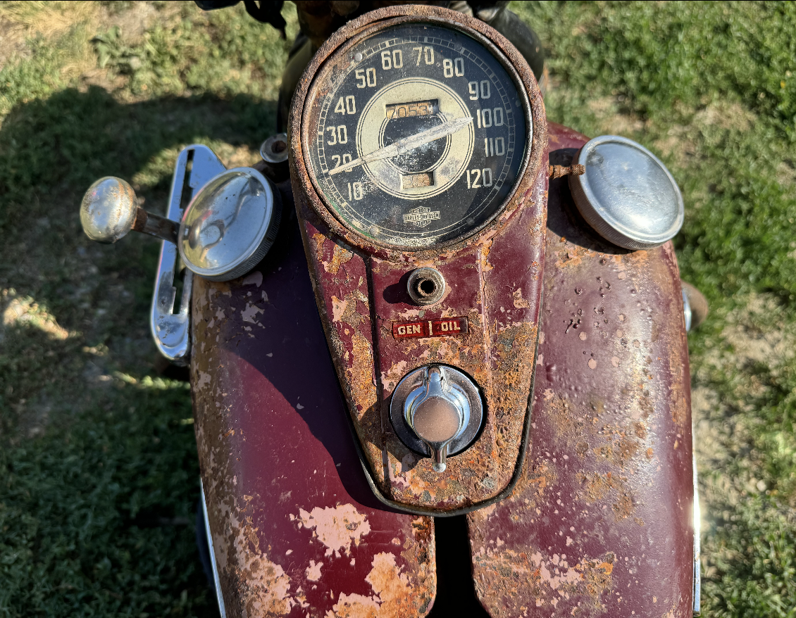 IMG_4845 Rita Livergood 2024-07-17