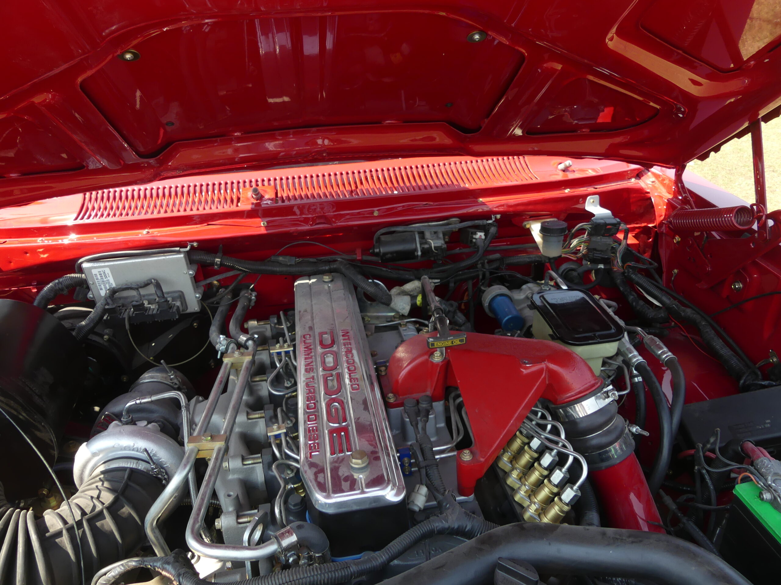 P1030041 Terry Levair 2024-07-31