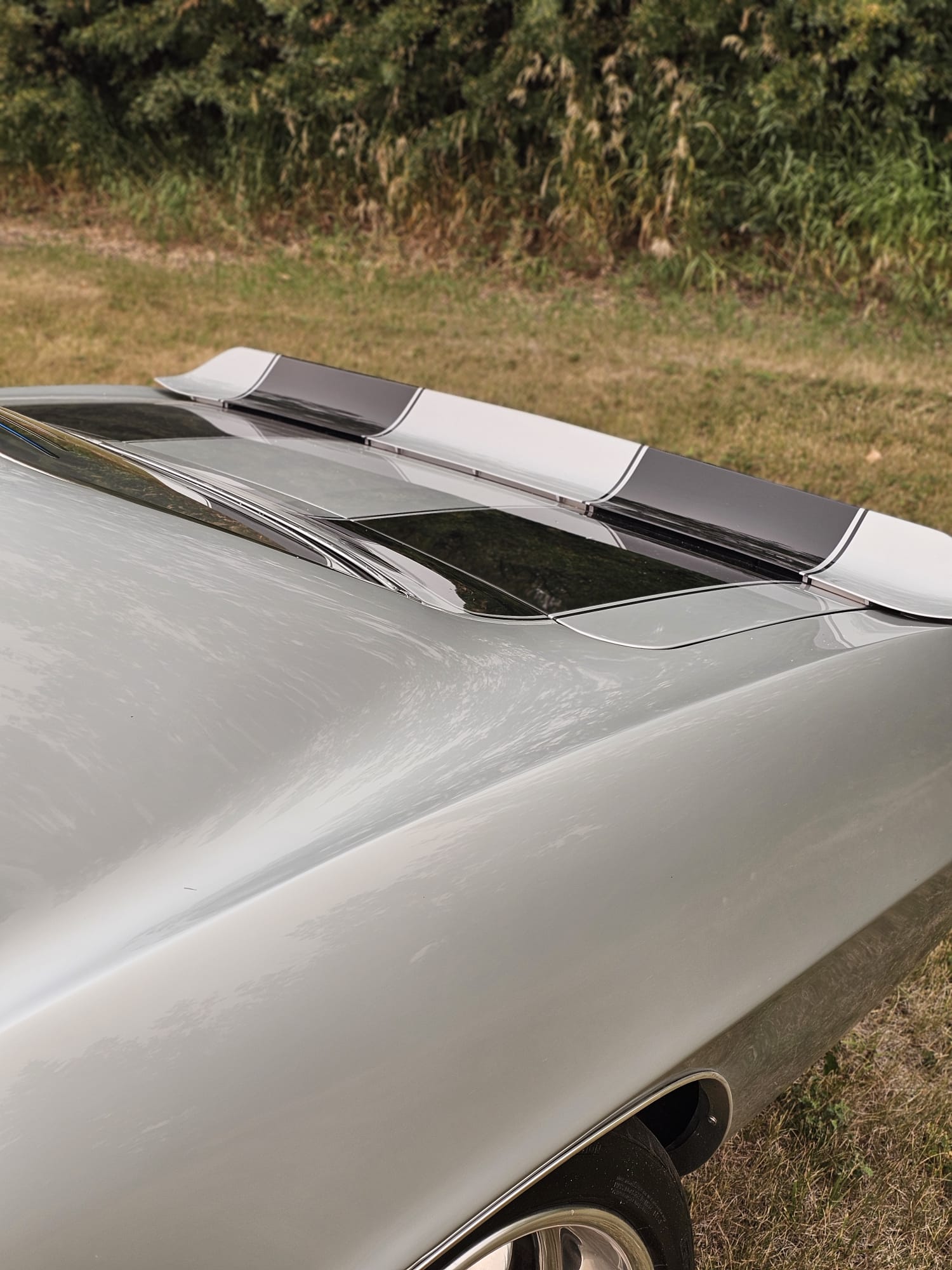 PHOTO-2024-07-24-19-32-47 (1)