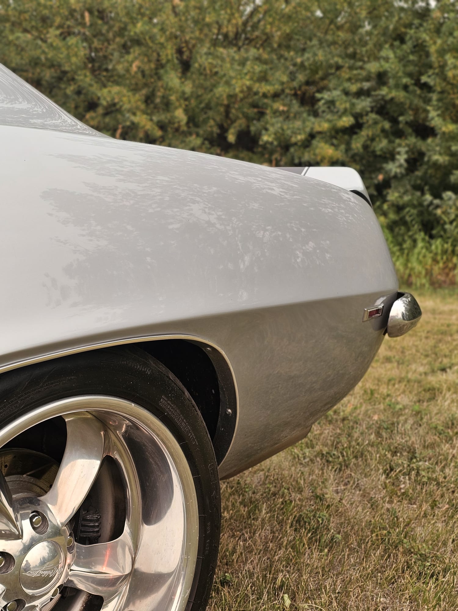 PHOTO-2024-07-24-19-32-47 (2)