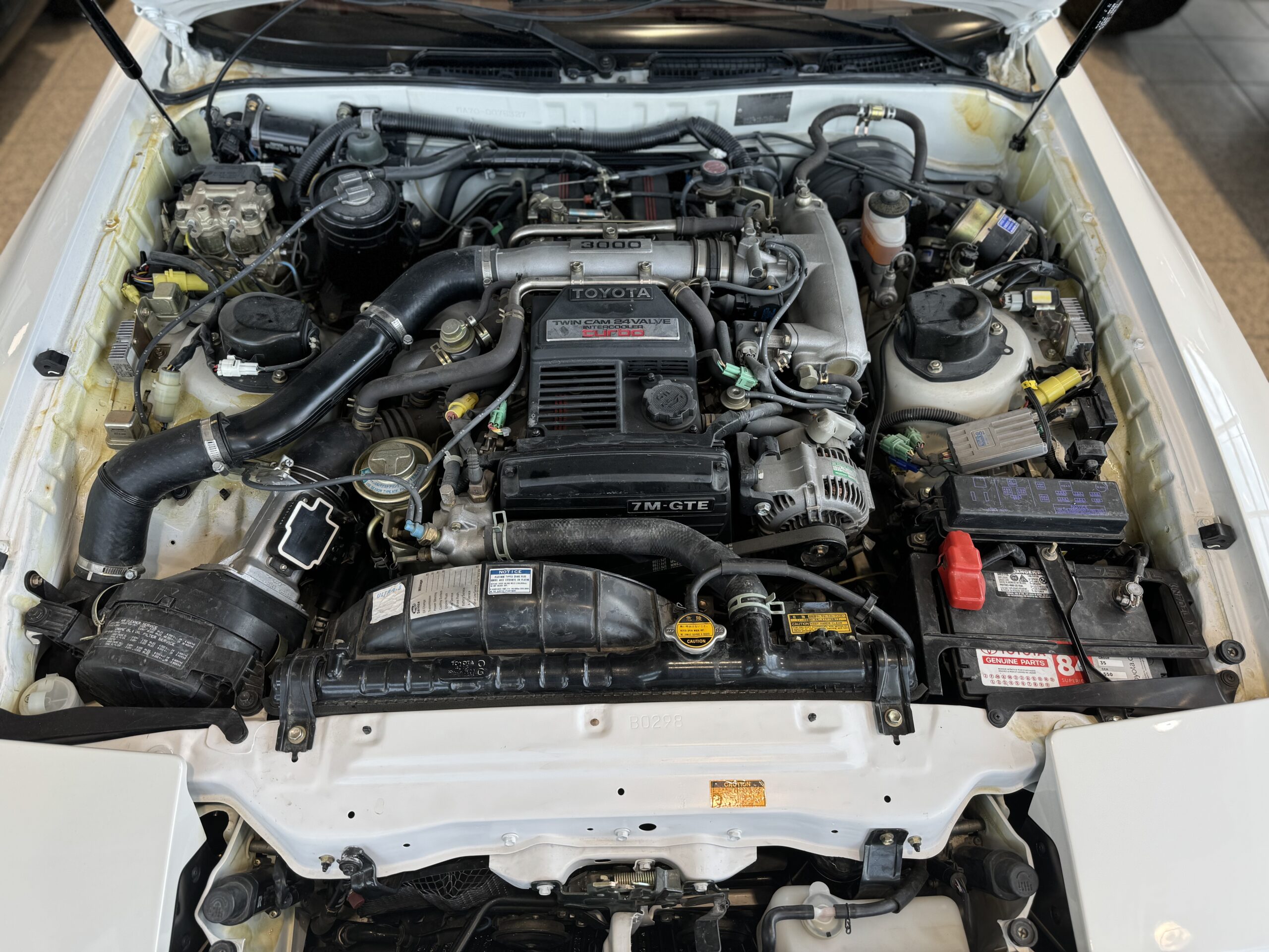 Photo 2024-08-07, 17 36 05