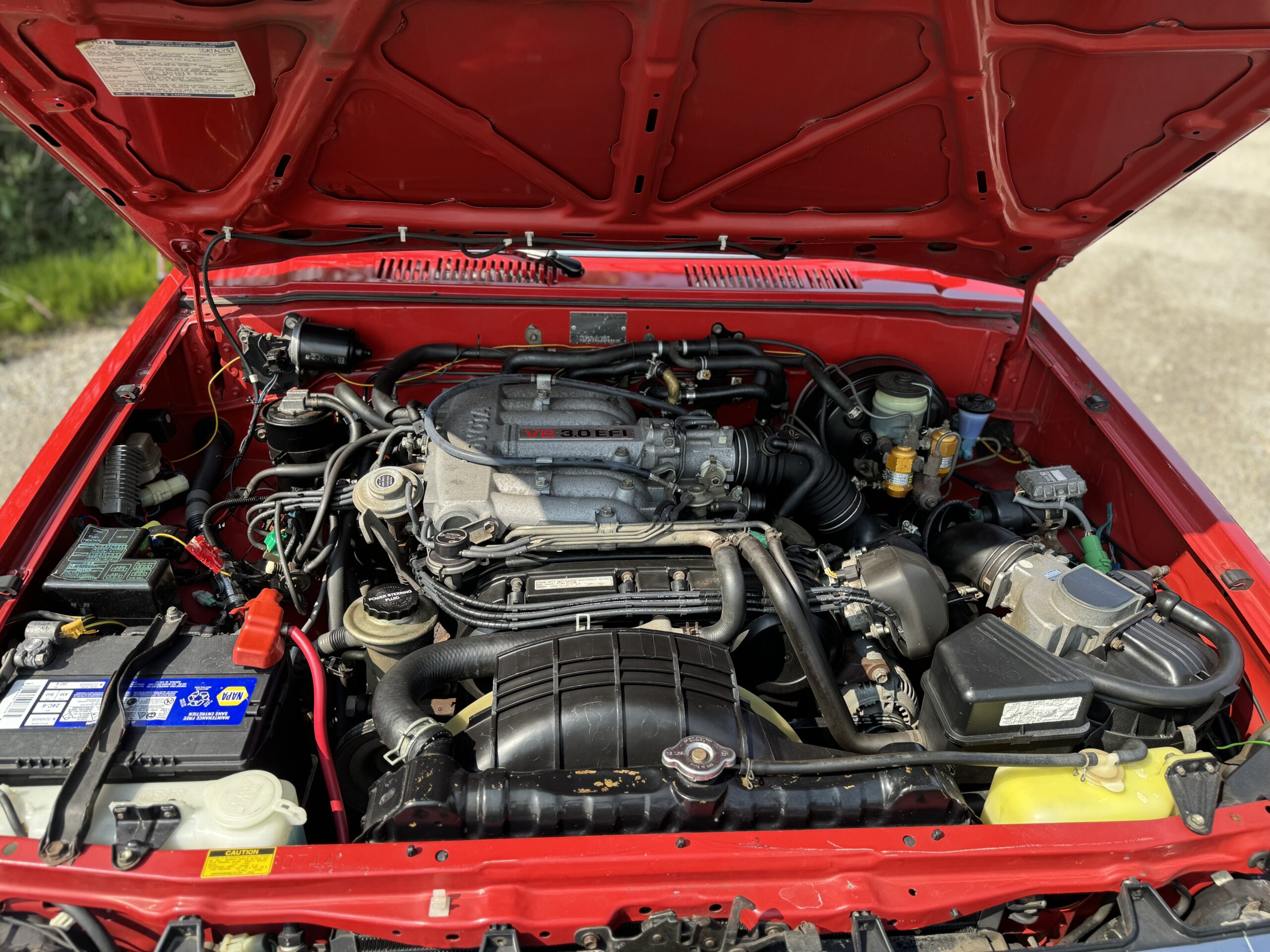 Photo 2024-08-08, 12 01 53