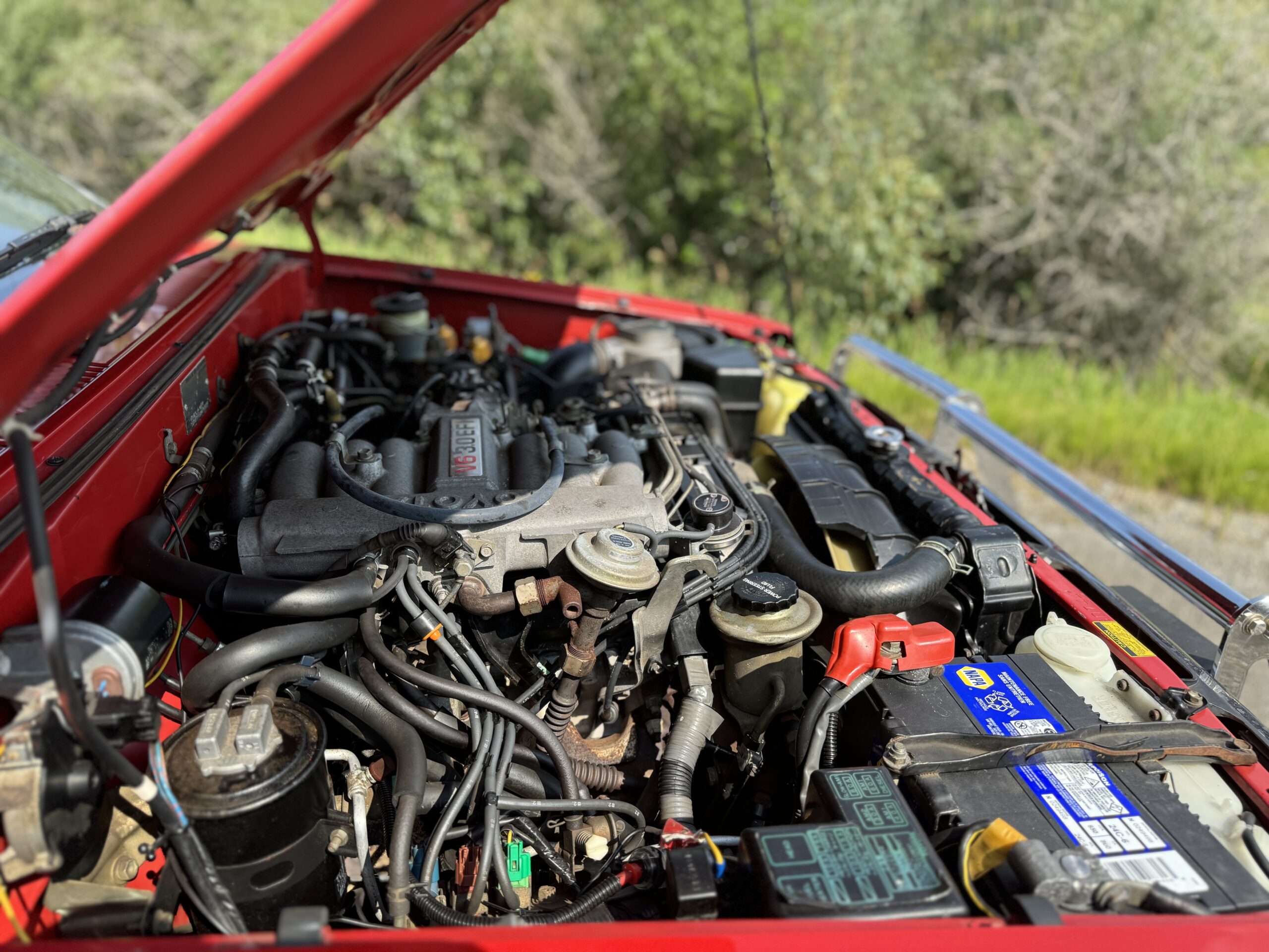 Photo 2024-08-08, 12 02 02