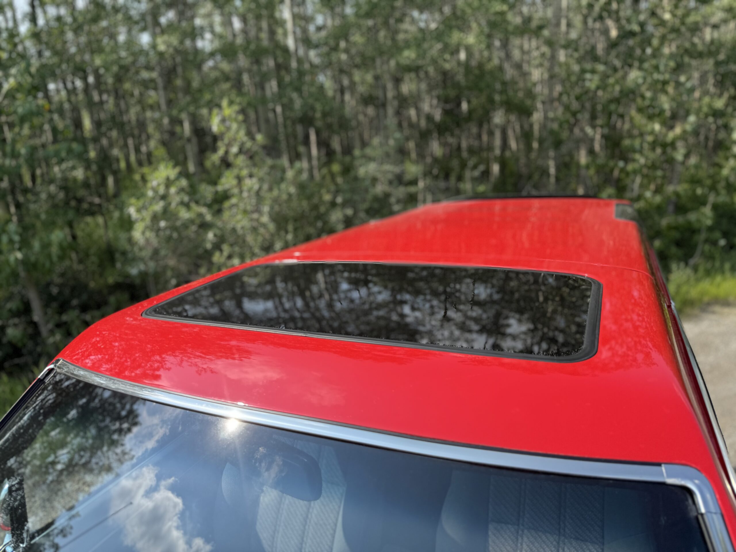 Photo 2024-08-08, 12 02 18