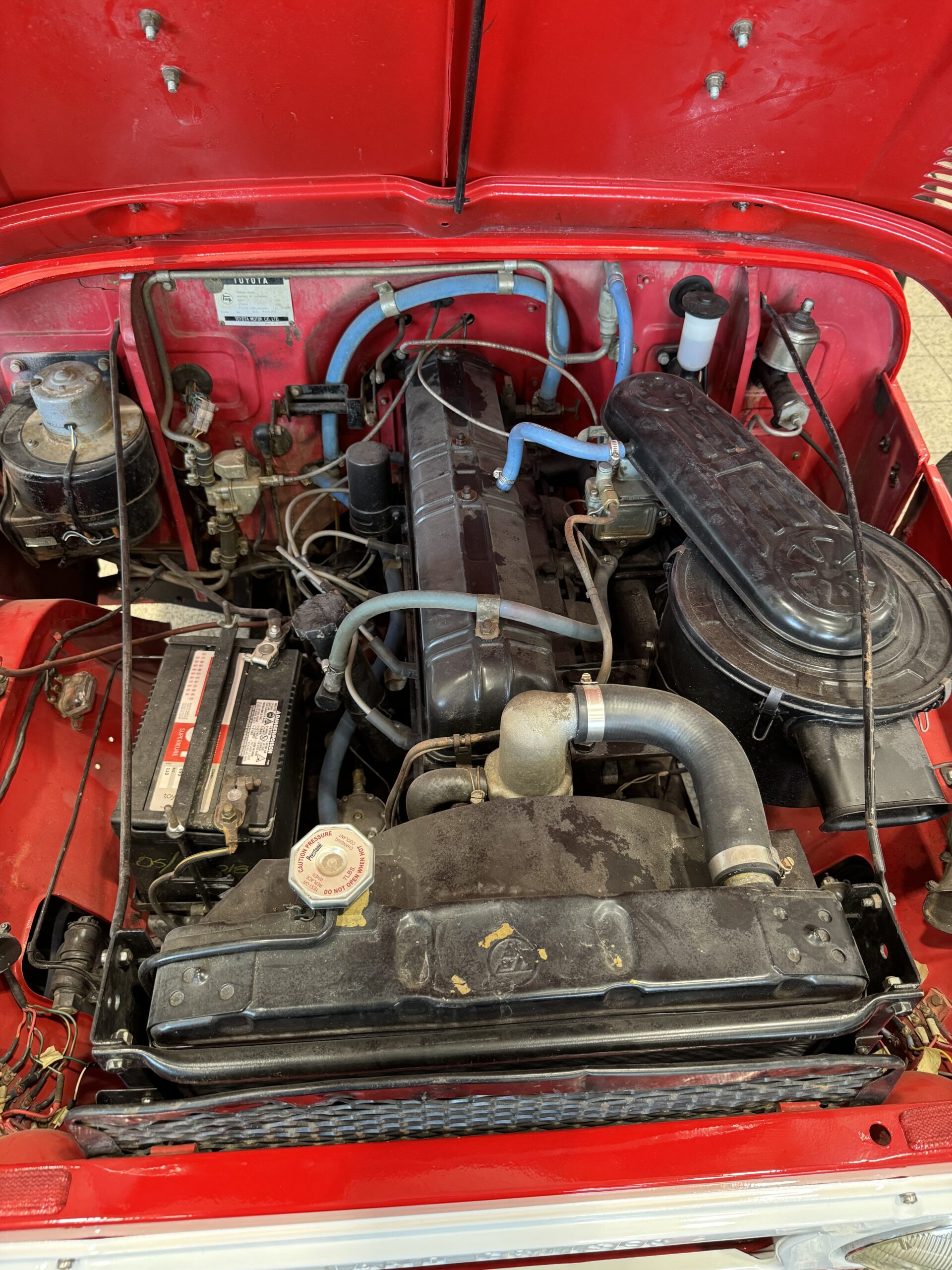 Photo 2024-08-08, 16 35 38