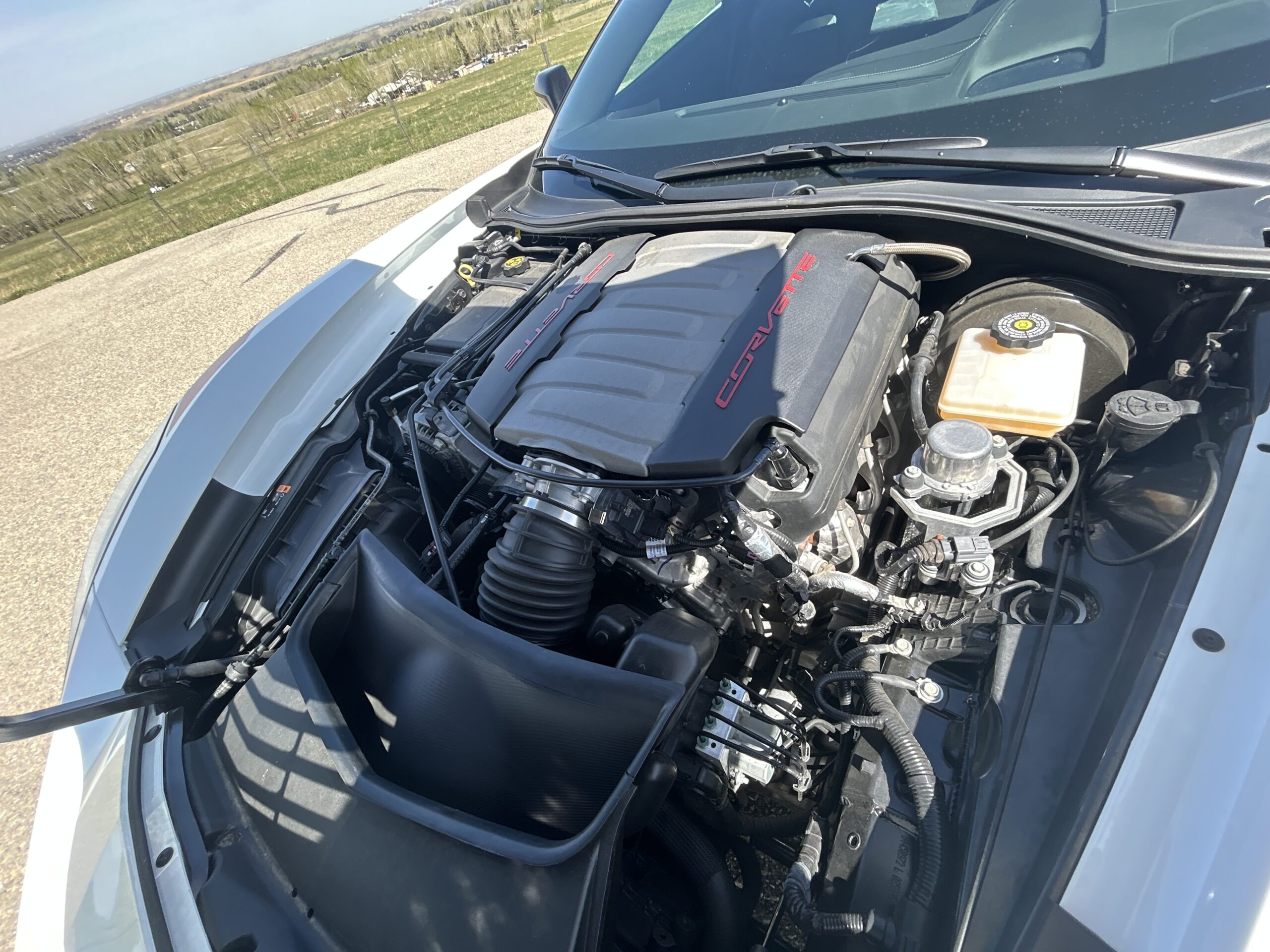 Photo 5-10-25, 2 02 20 PM