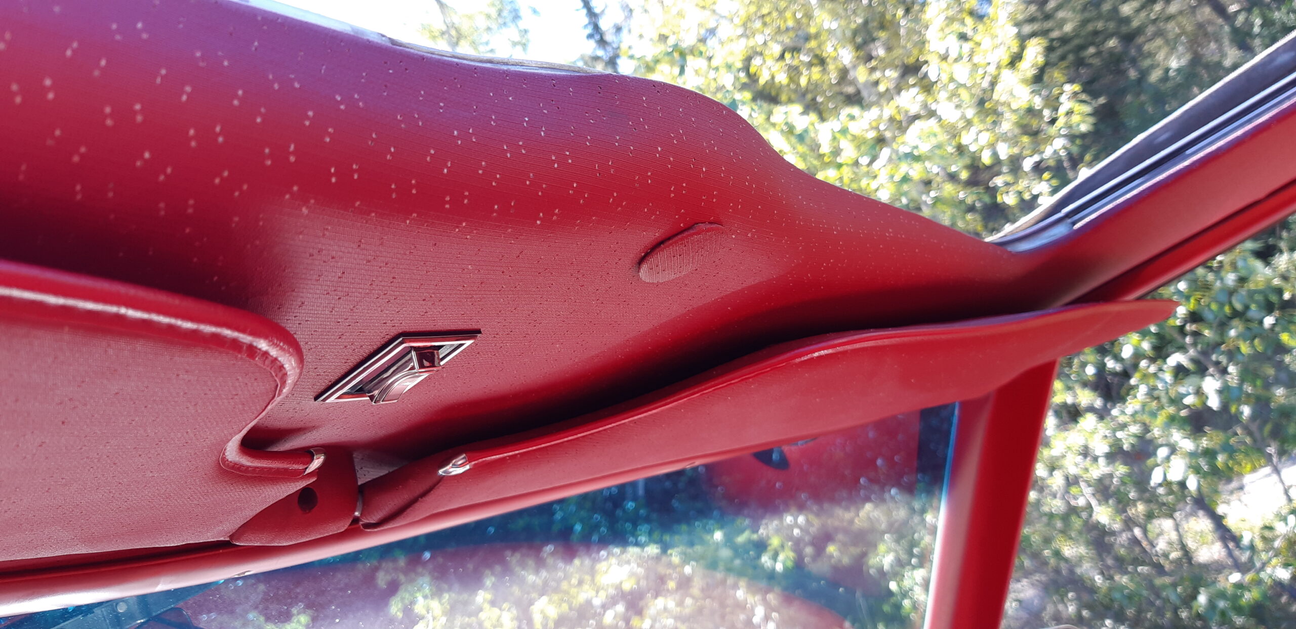 11 sunroof open vaughn scott 2024-08-17