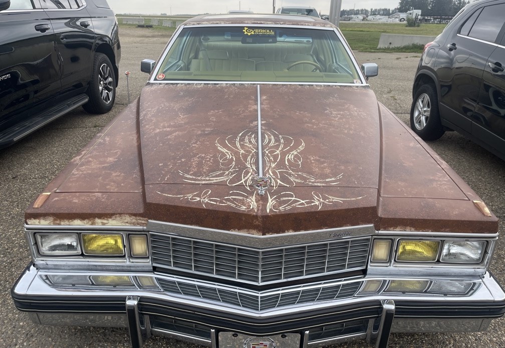 123346295 Michael O'Dwyer 2024-08-28