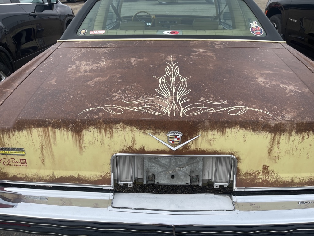 123346301 Michael O'Dwyer 2024-08-28