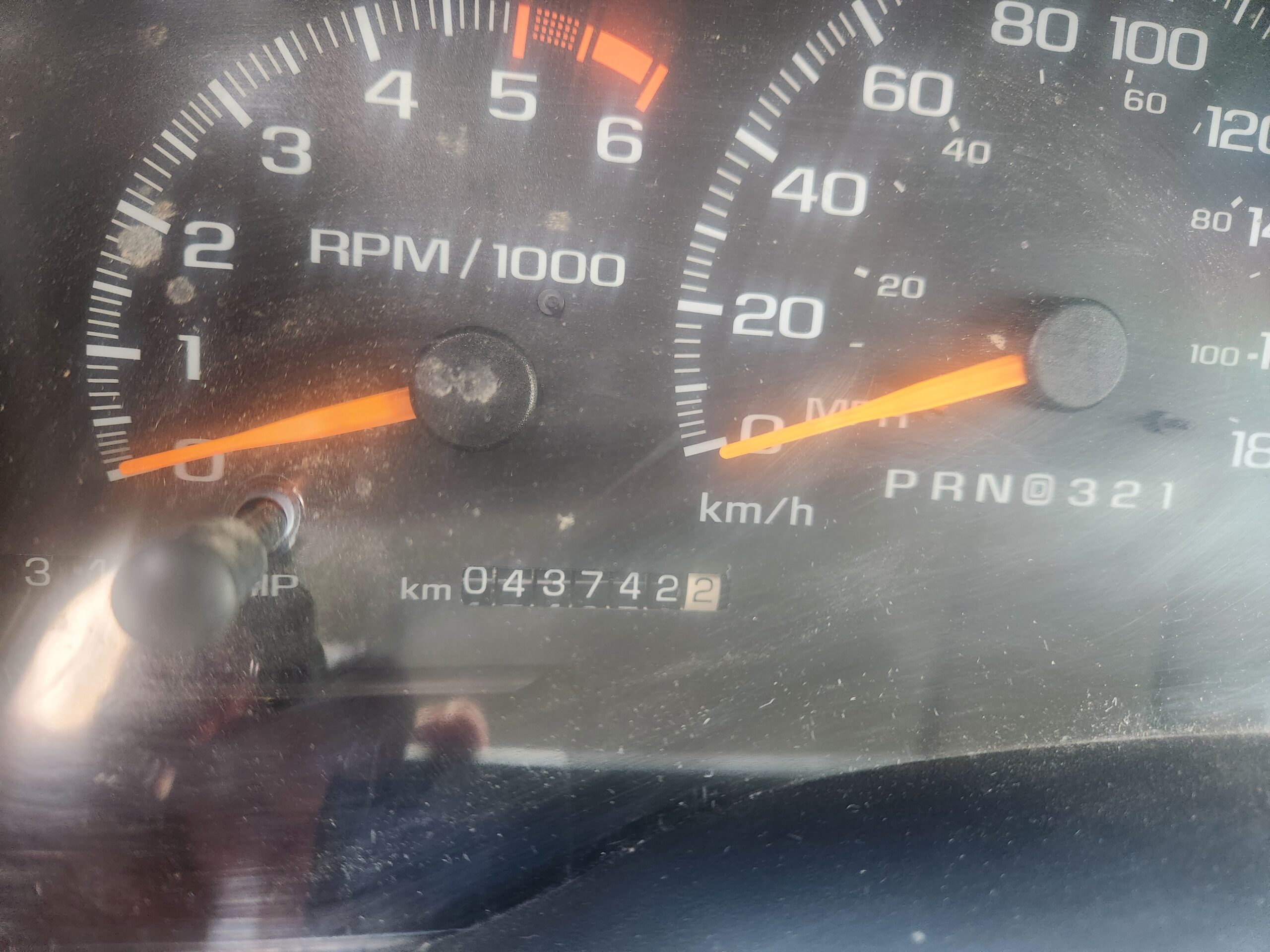 20240827_114758 Alan Rose 2024-08-27