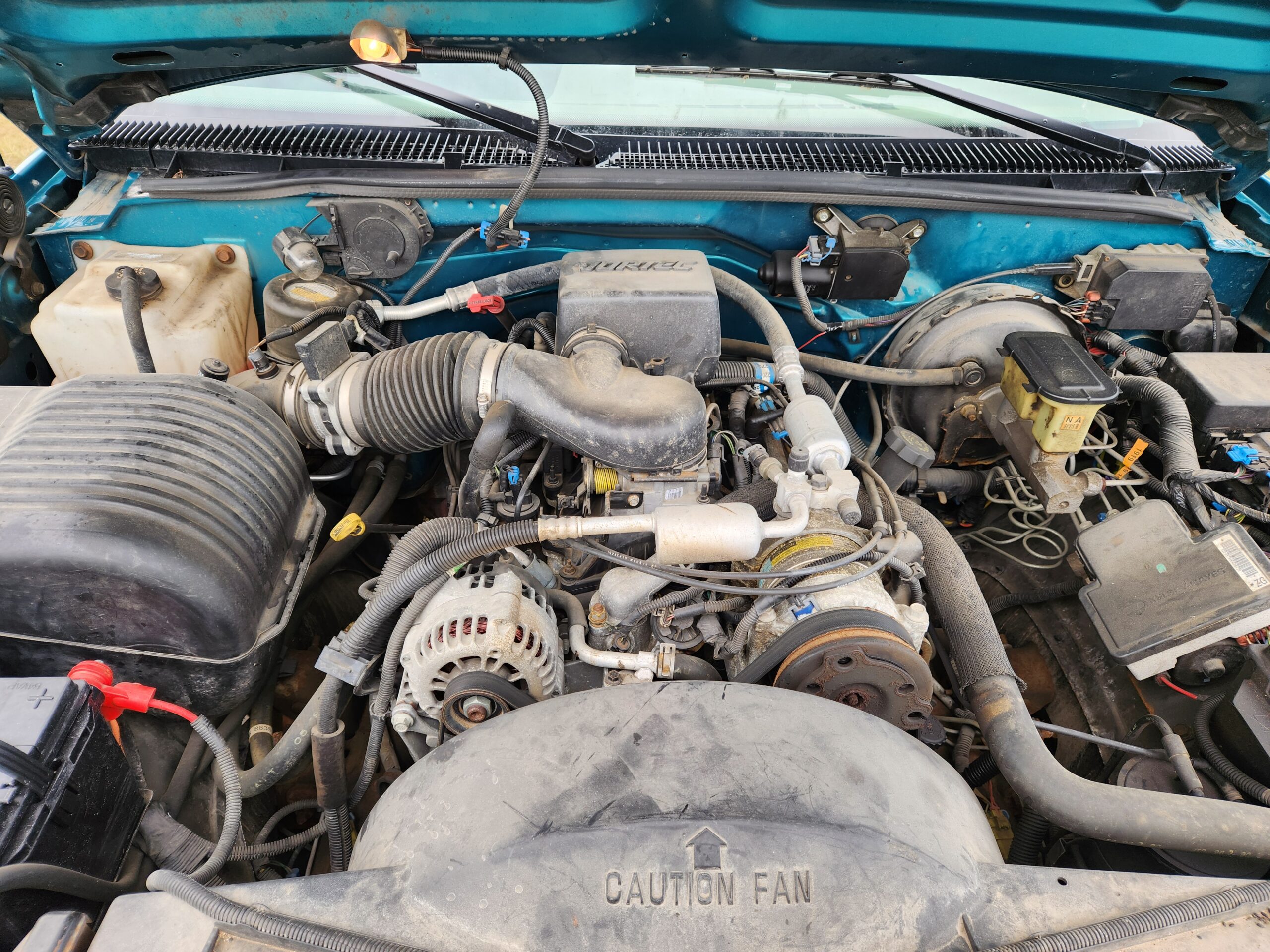 20240827_115959 Alan Rose 2024-08-27