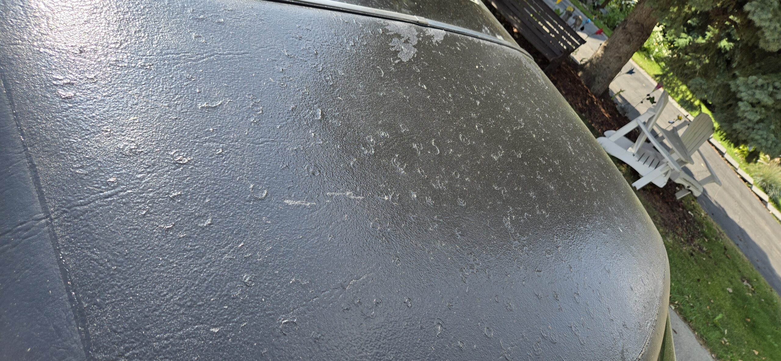 24 vinyl top damage vaughn scott 2024-08-17