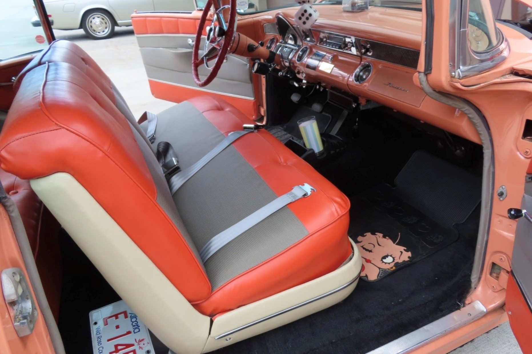 3 Shelagh Rathgeber 2024-08-28