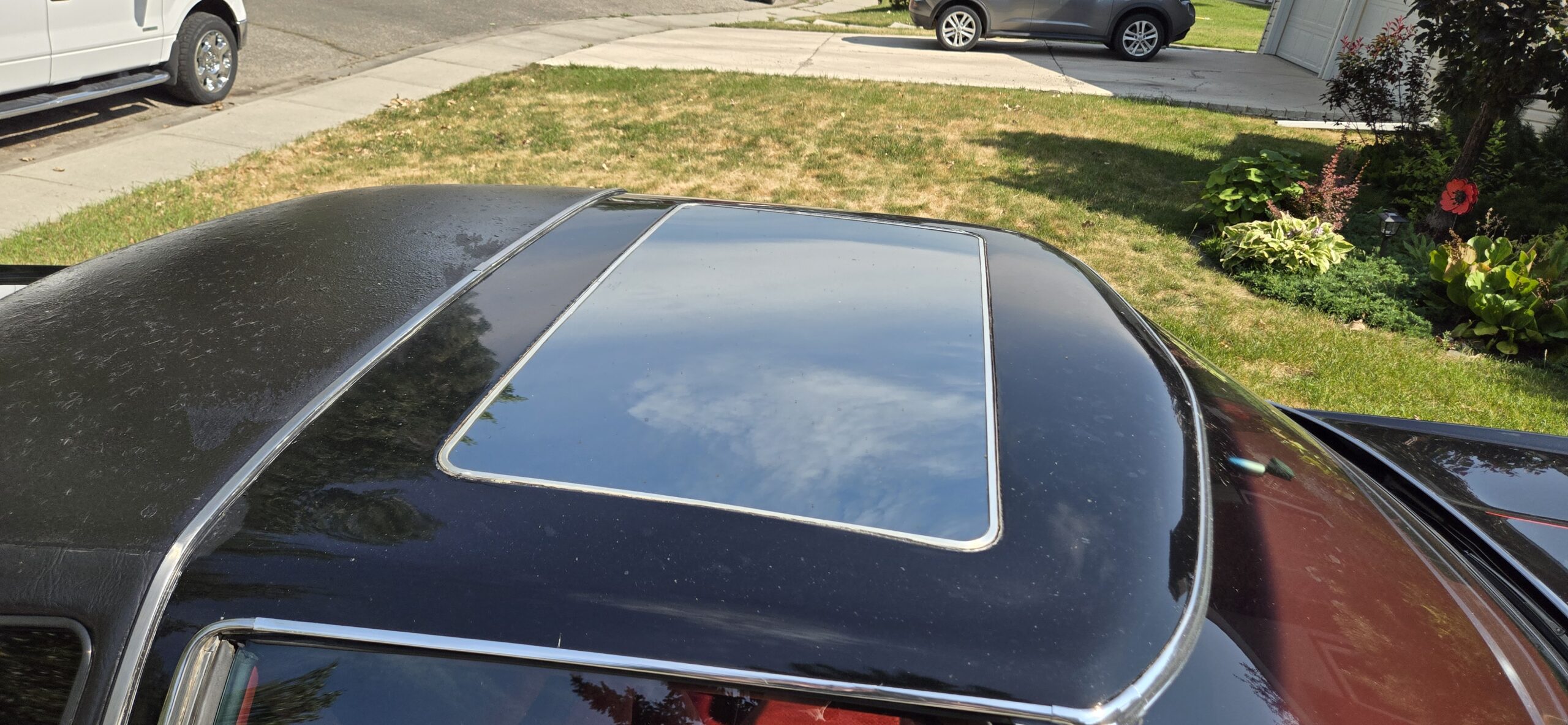 8 sunroof above vaughn scott 2024-08-17